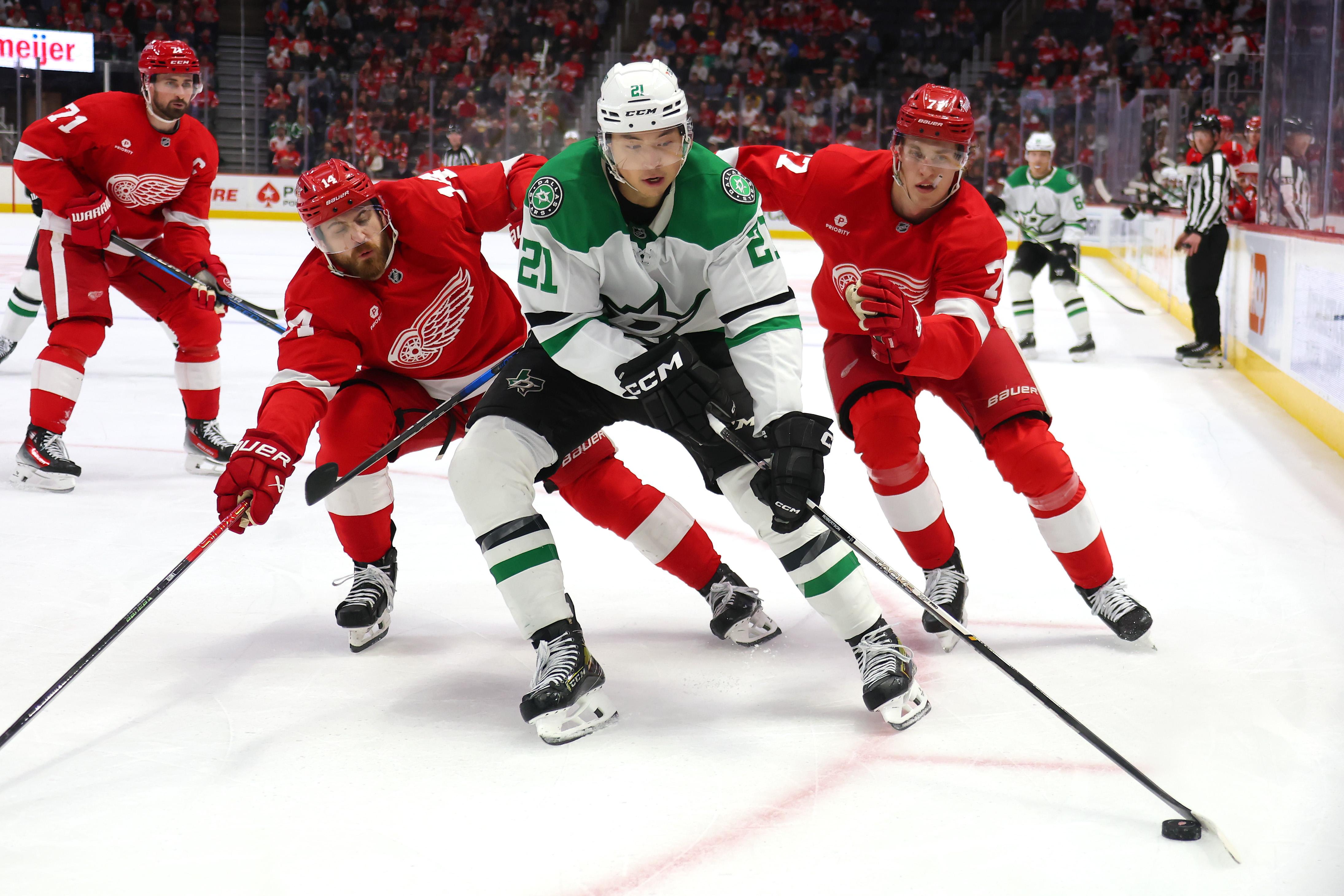 Dallas Stars v Detroit Red Wings