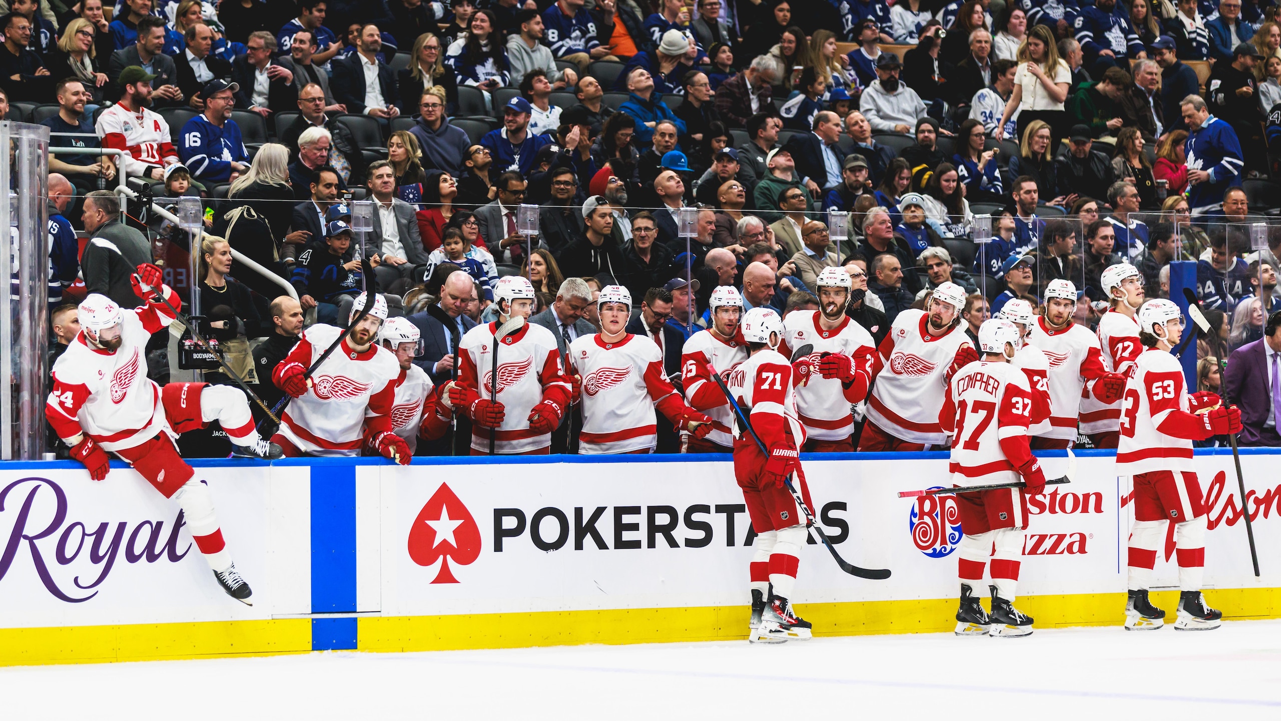 NHL: APR 17 Red Wings at Maple Leafs NHL: APR 17 Red Wings at Maple Leafs