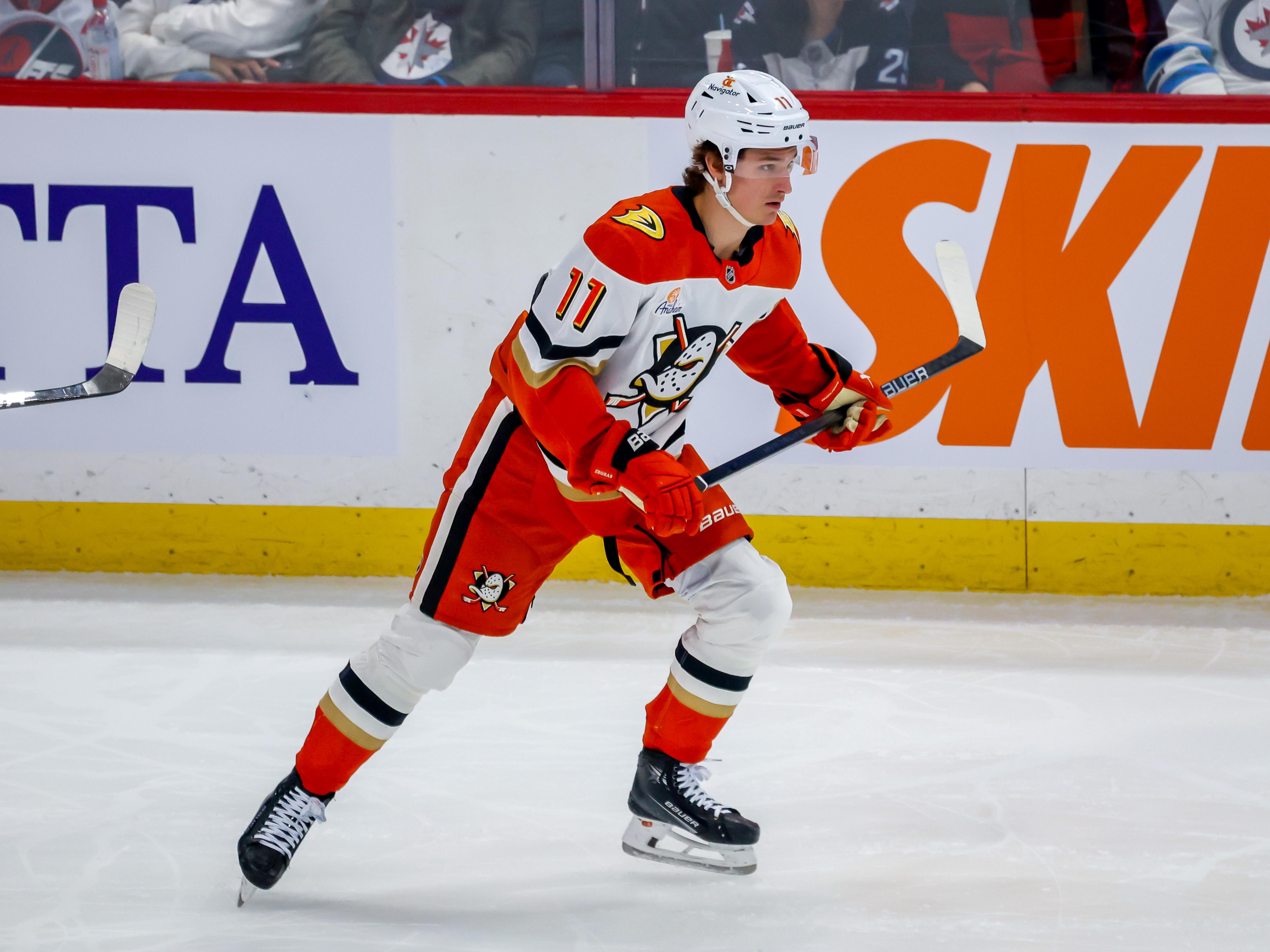 Anaheim Ducks v Winnipeg Jets
