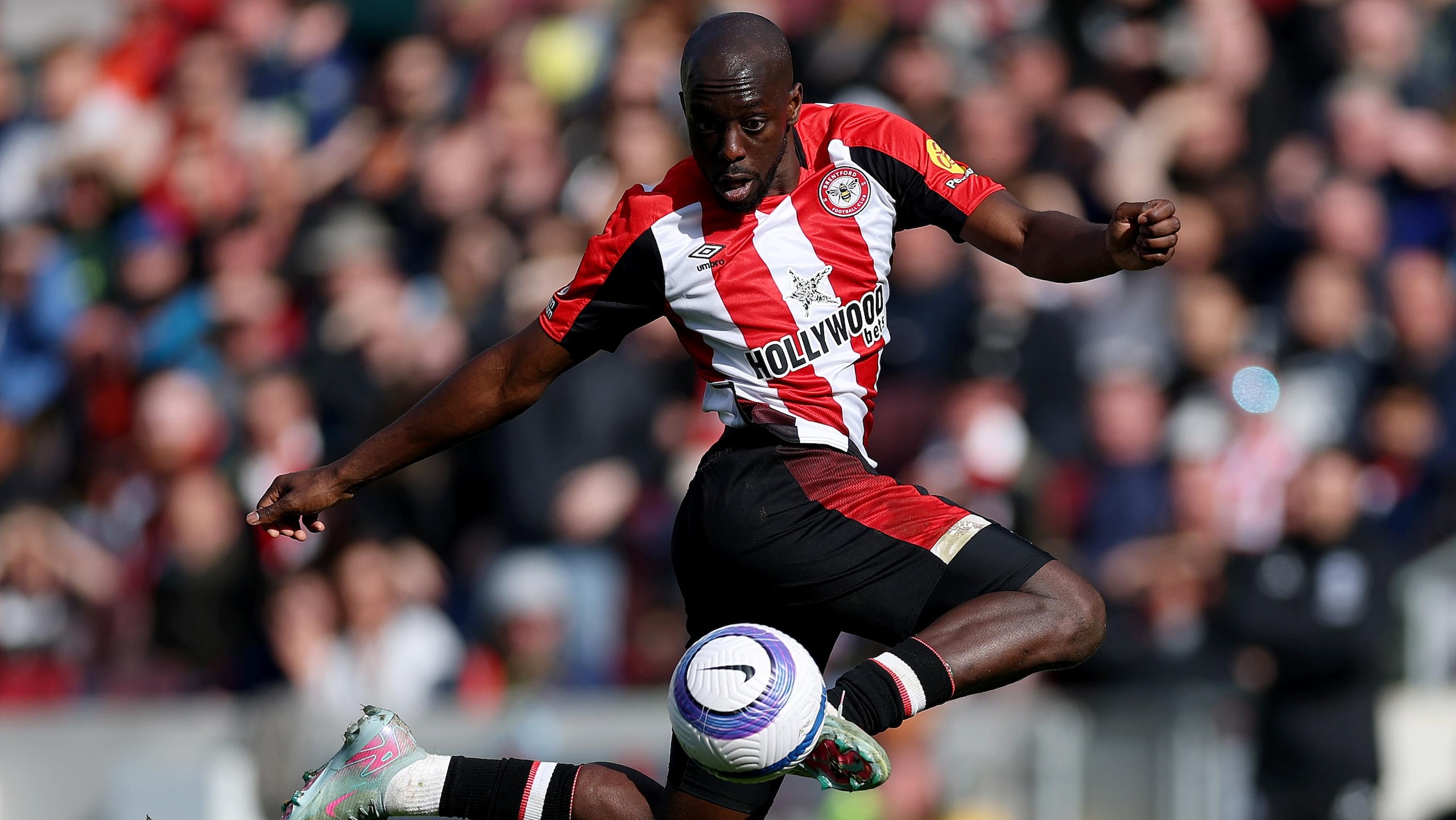 Brentford FC v Brighton & Hove Albion FC - Premier League