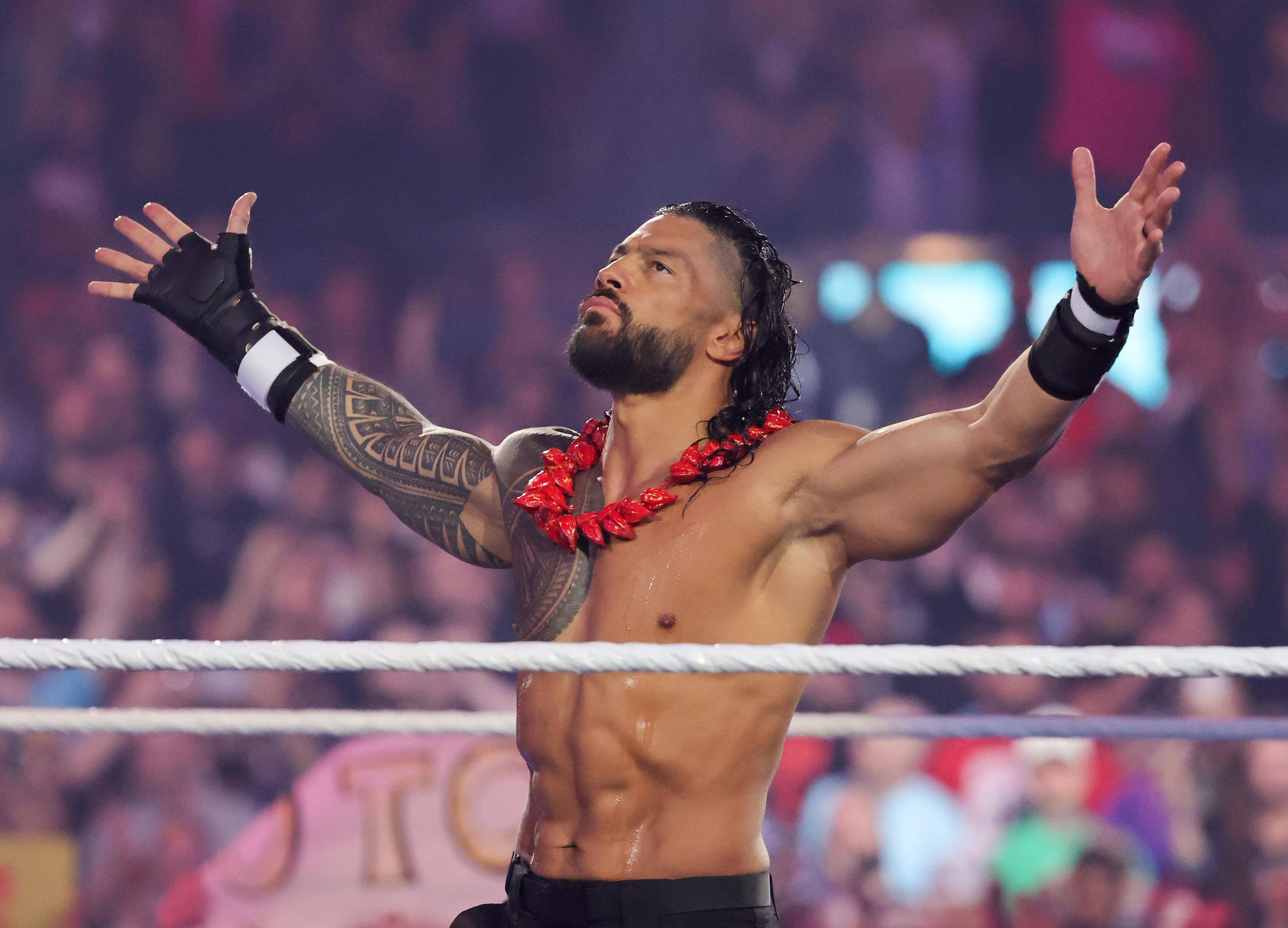 WrestleMania 41 WrestleMania 41