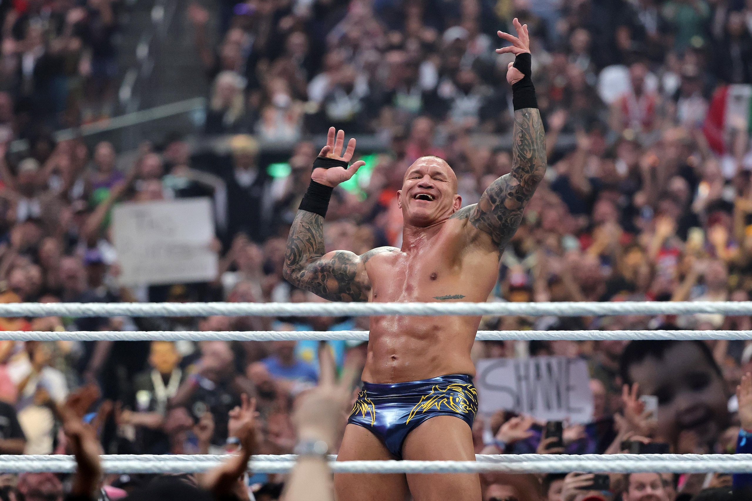 WrestleMania 41 WrestleMania 41