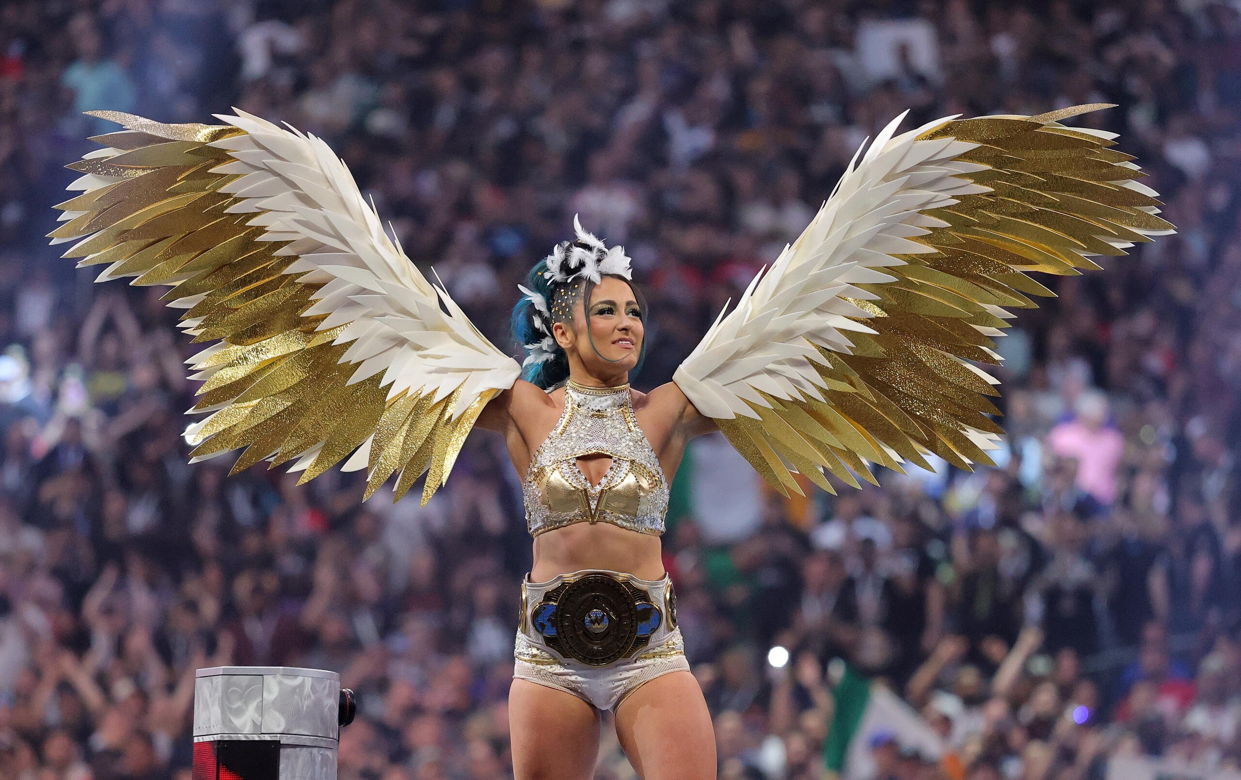 WrestleMania 41 WrestleMania 41
