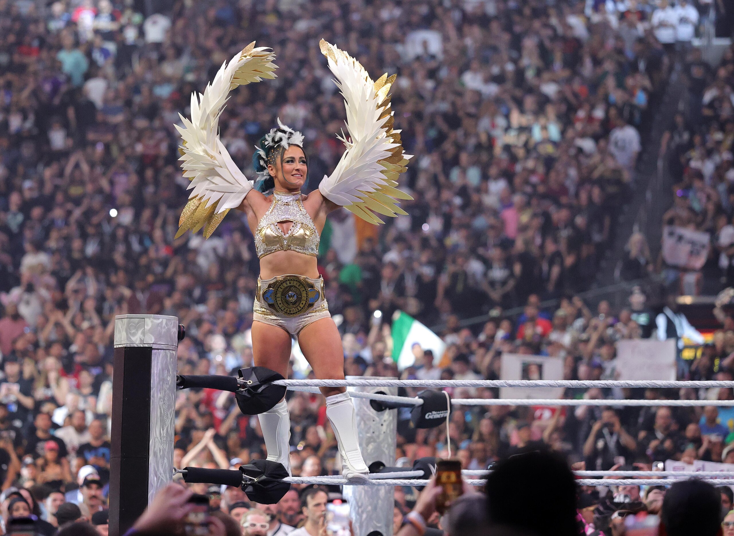 WrestleMania 41 WrestleMania 41