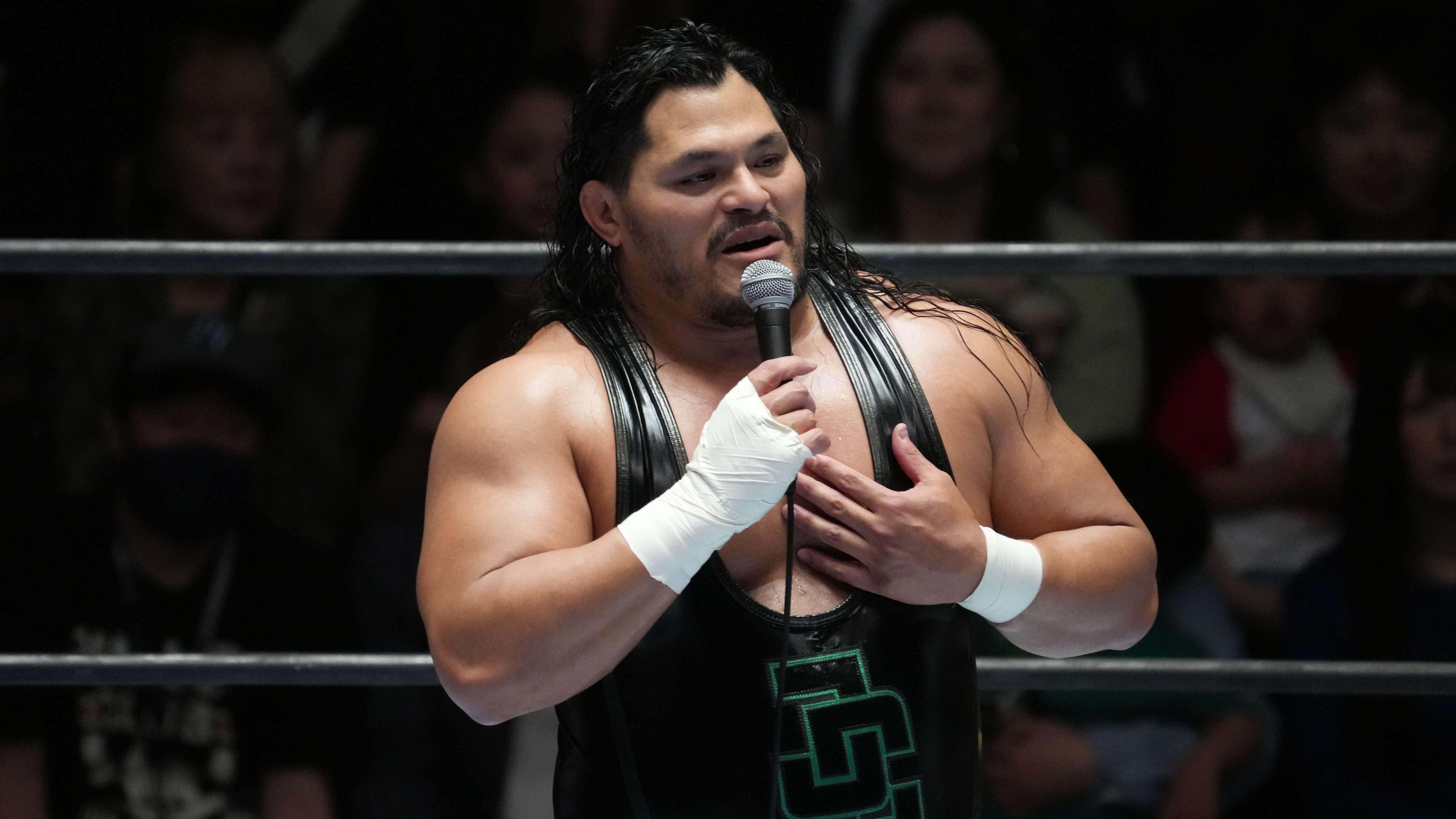 New Japan Pro-Wrestling