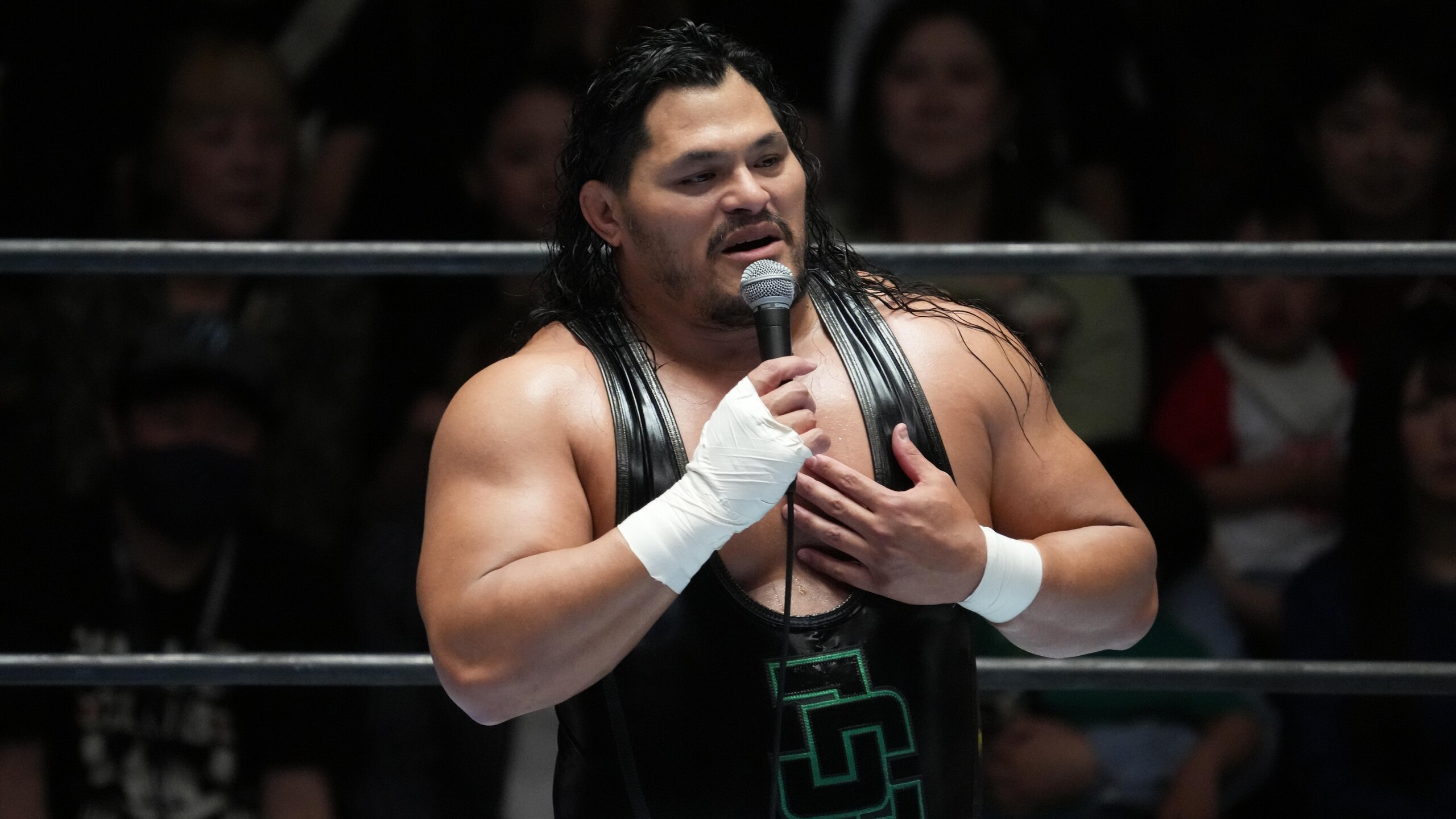 New Japan Pro-Wrestling