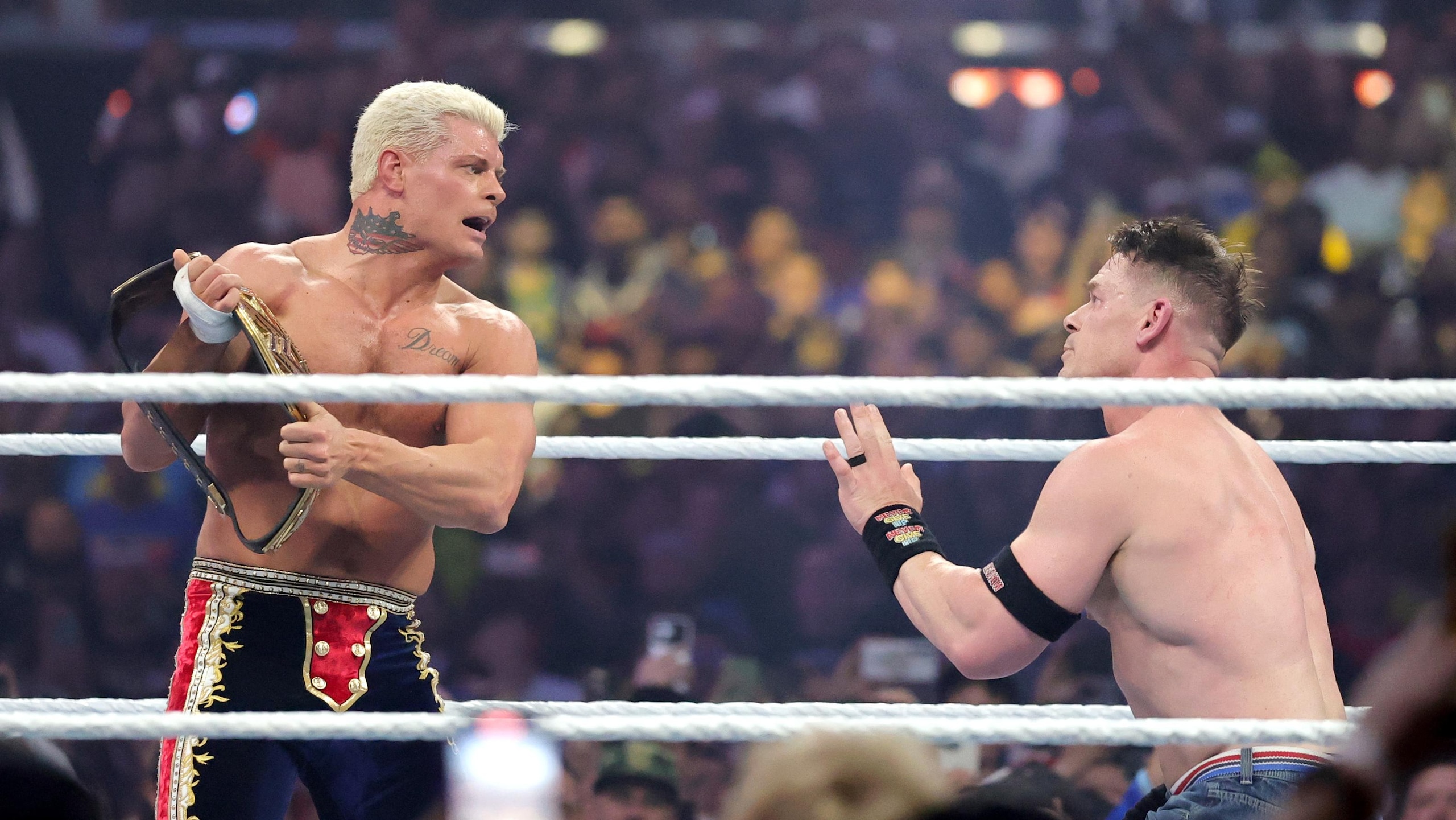 WrestleMania 41 WrestleMania 41