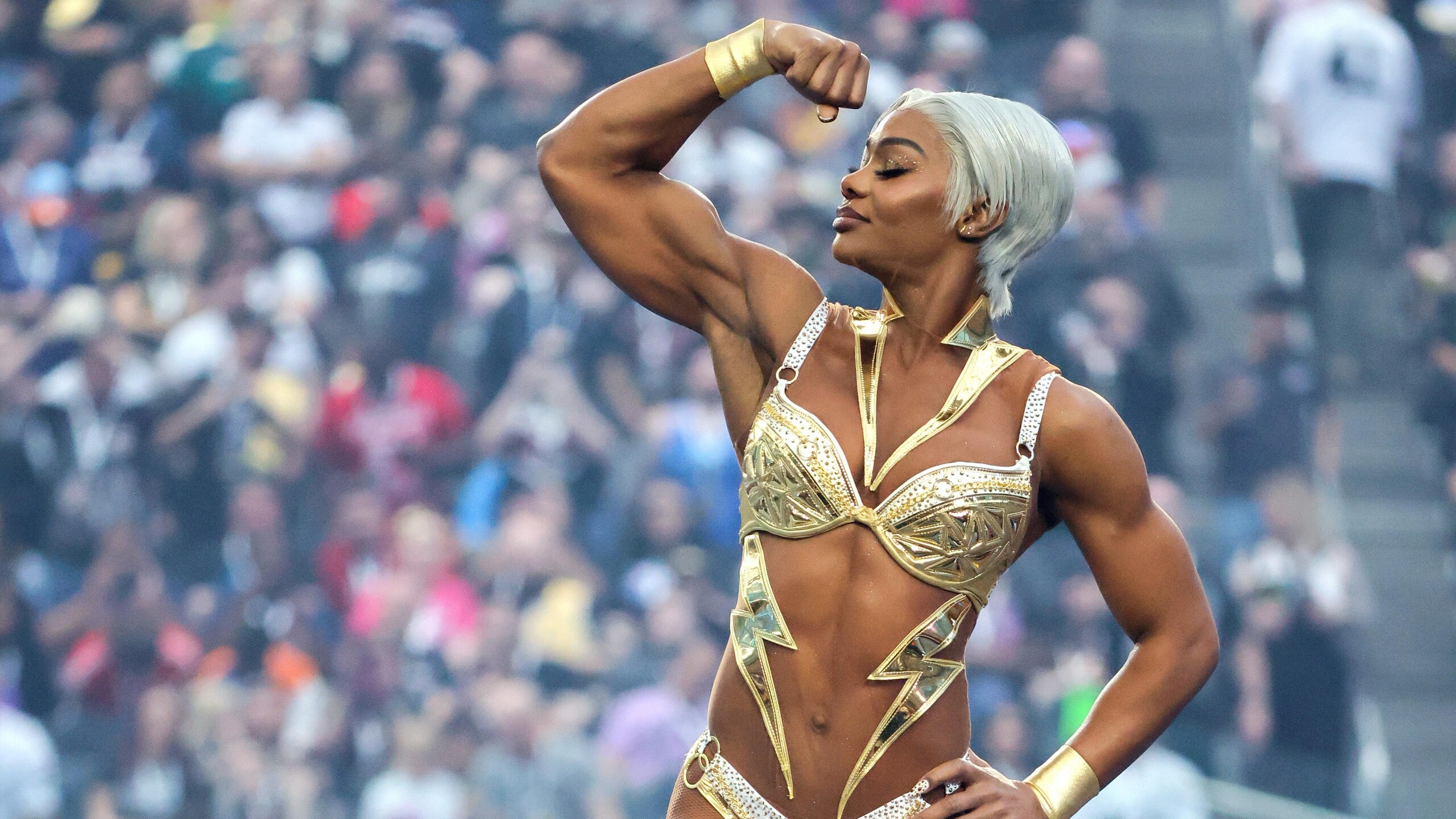 WrestleMania 41 WrestleMania 41