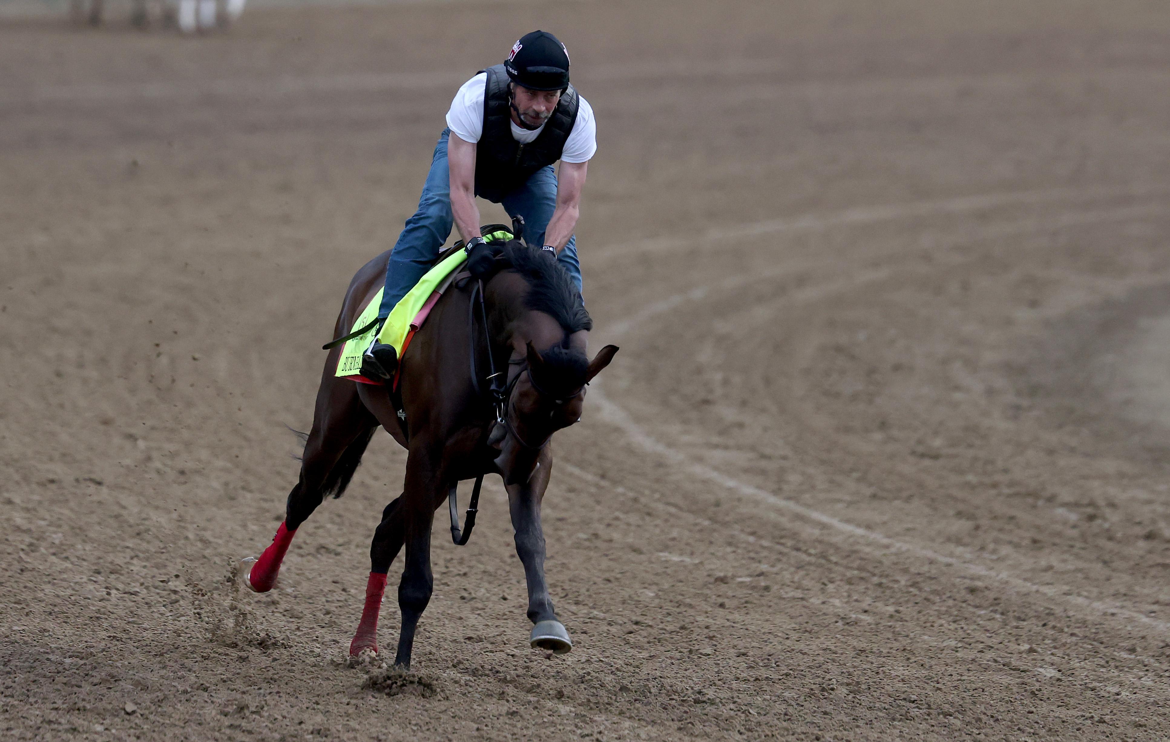 151th Kentucky Derby - Previews