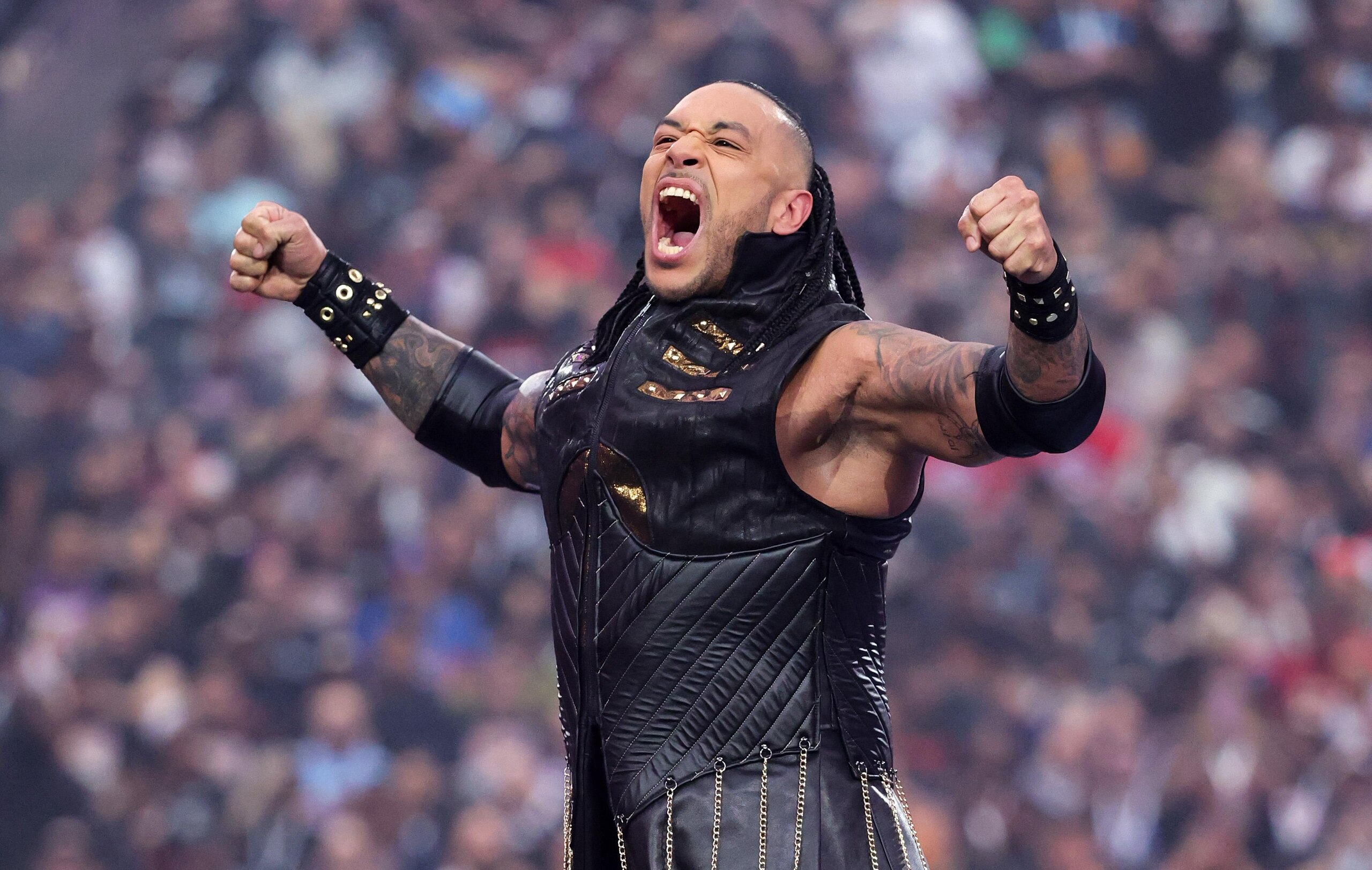 WrestleMania 41 WrestleMania 41
