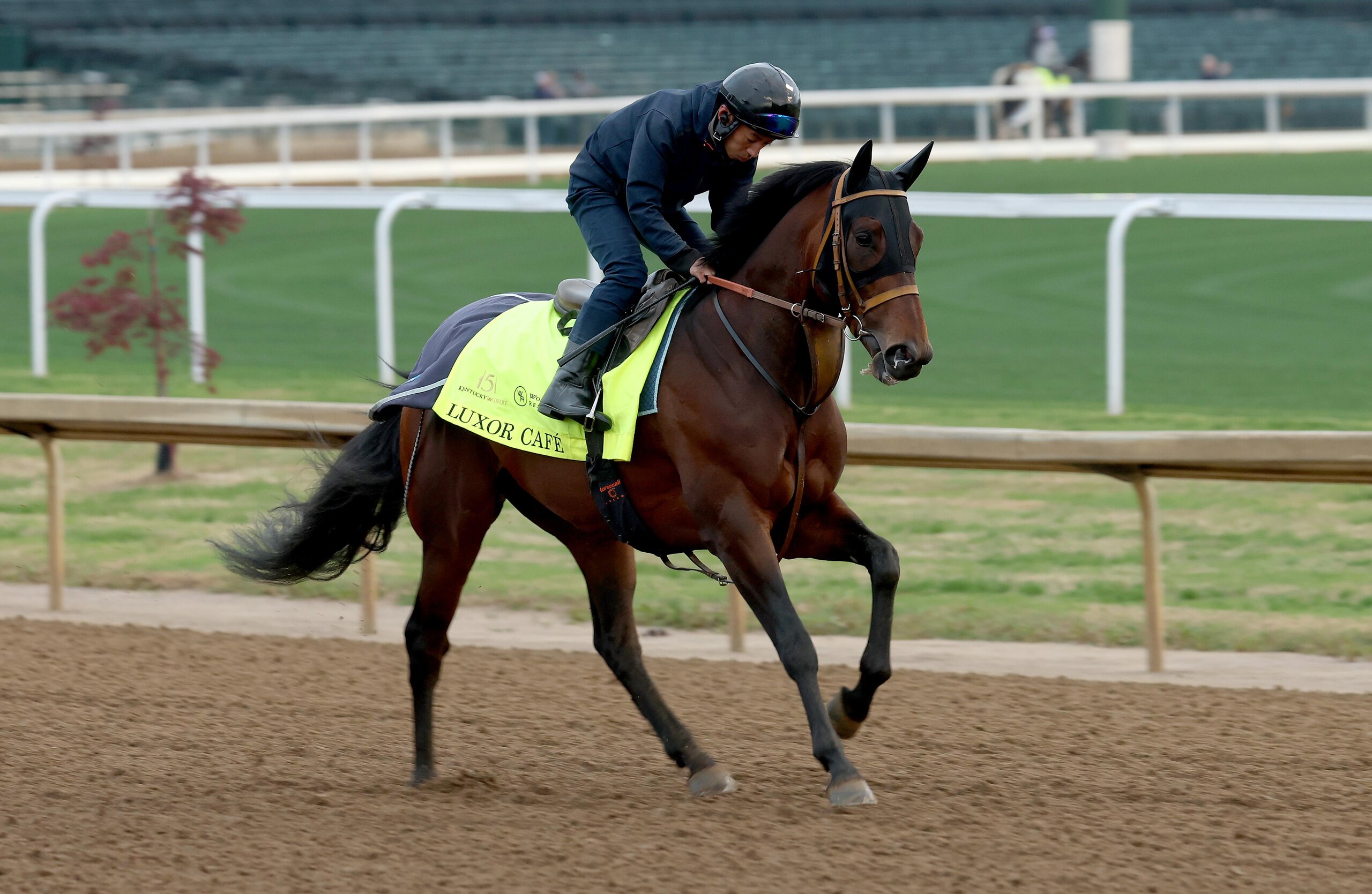 151th Kentucky Derby - Previews 151th Kentucky Derby - Previews