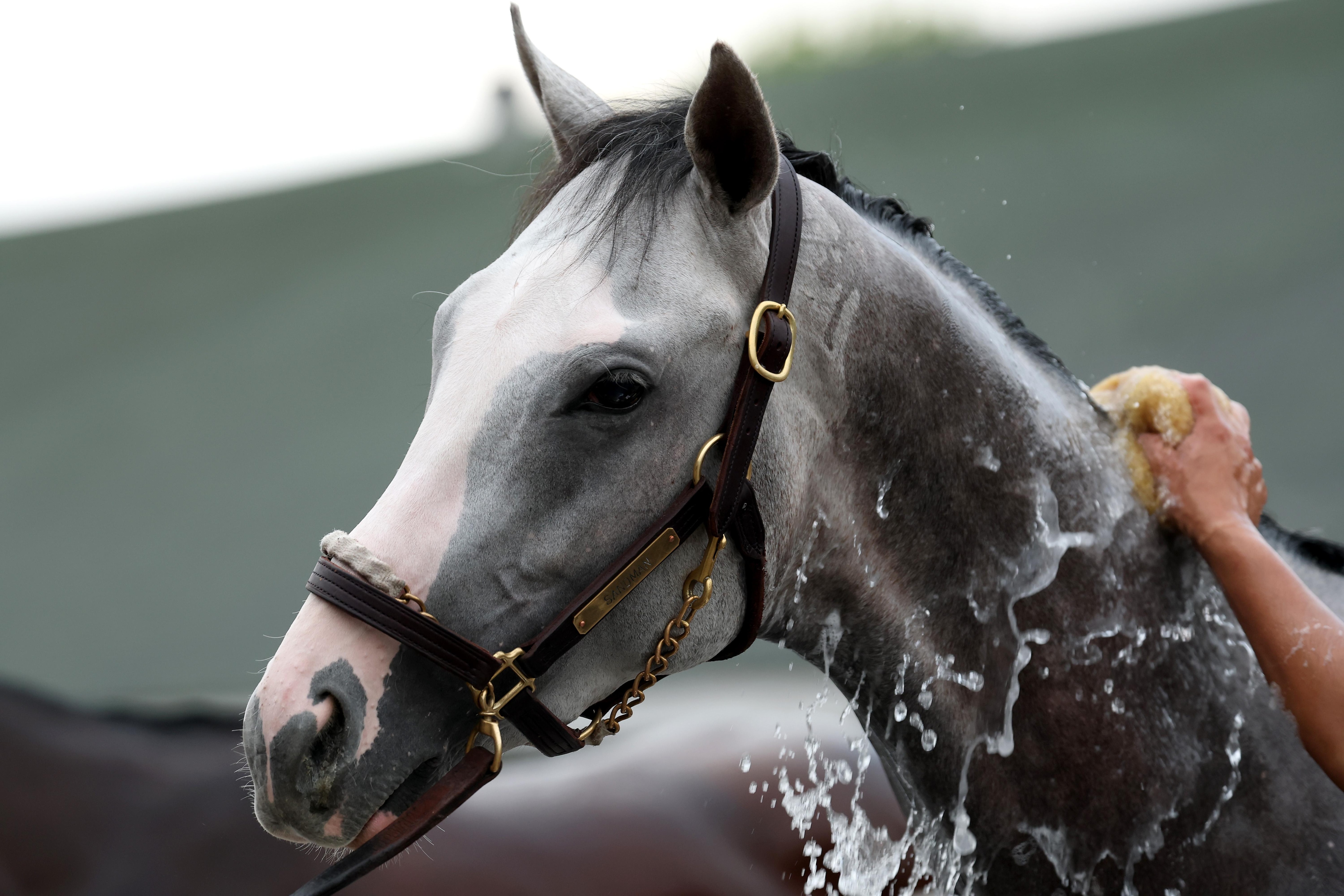 Starting Horses for Kentucky Derby