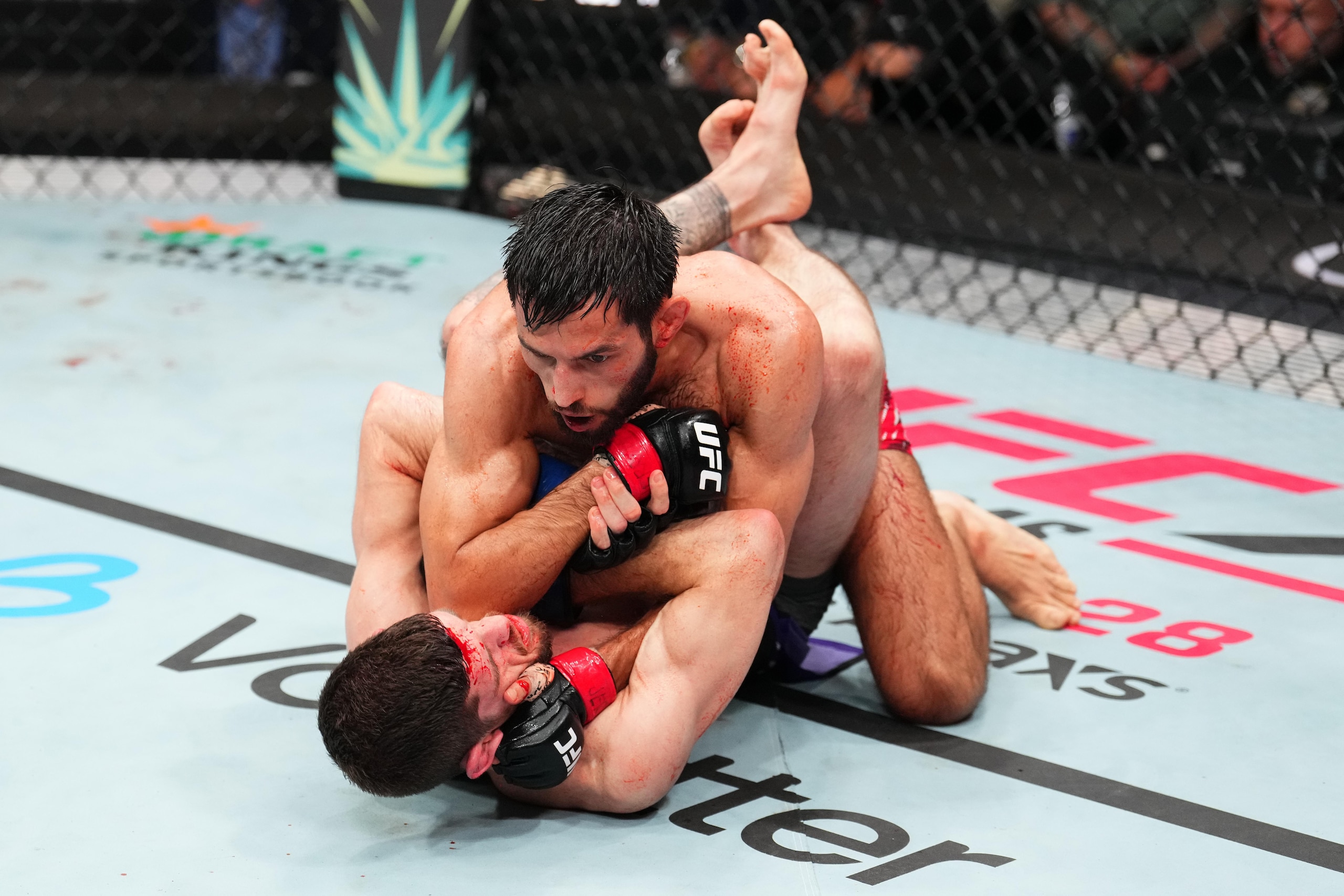 UFC Fight Night: Schnell v Flick