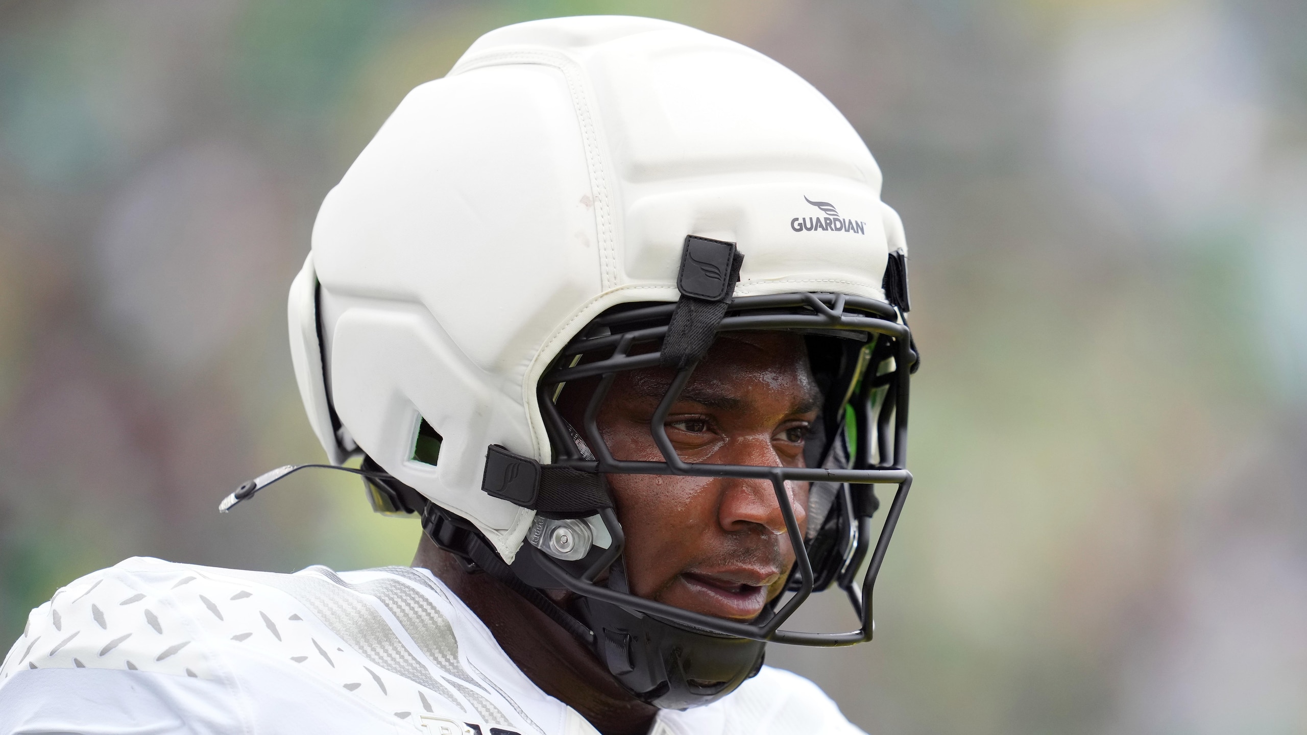 Oregon Spring Game Oregon Spring Game