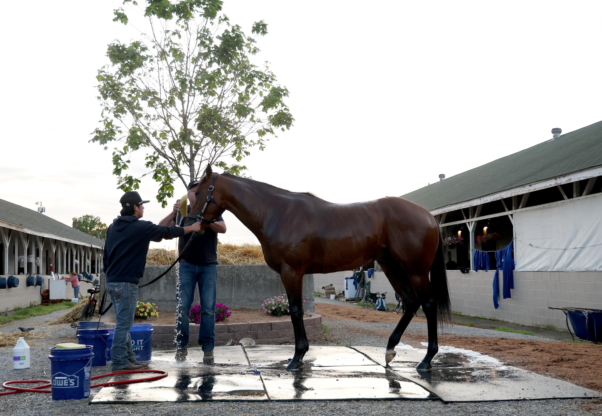 151th Kentucky Derby - Previews 151th Kentucky Derby - Previews