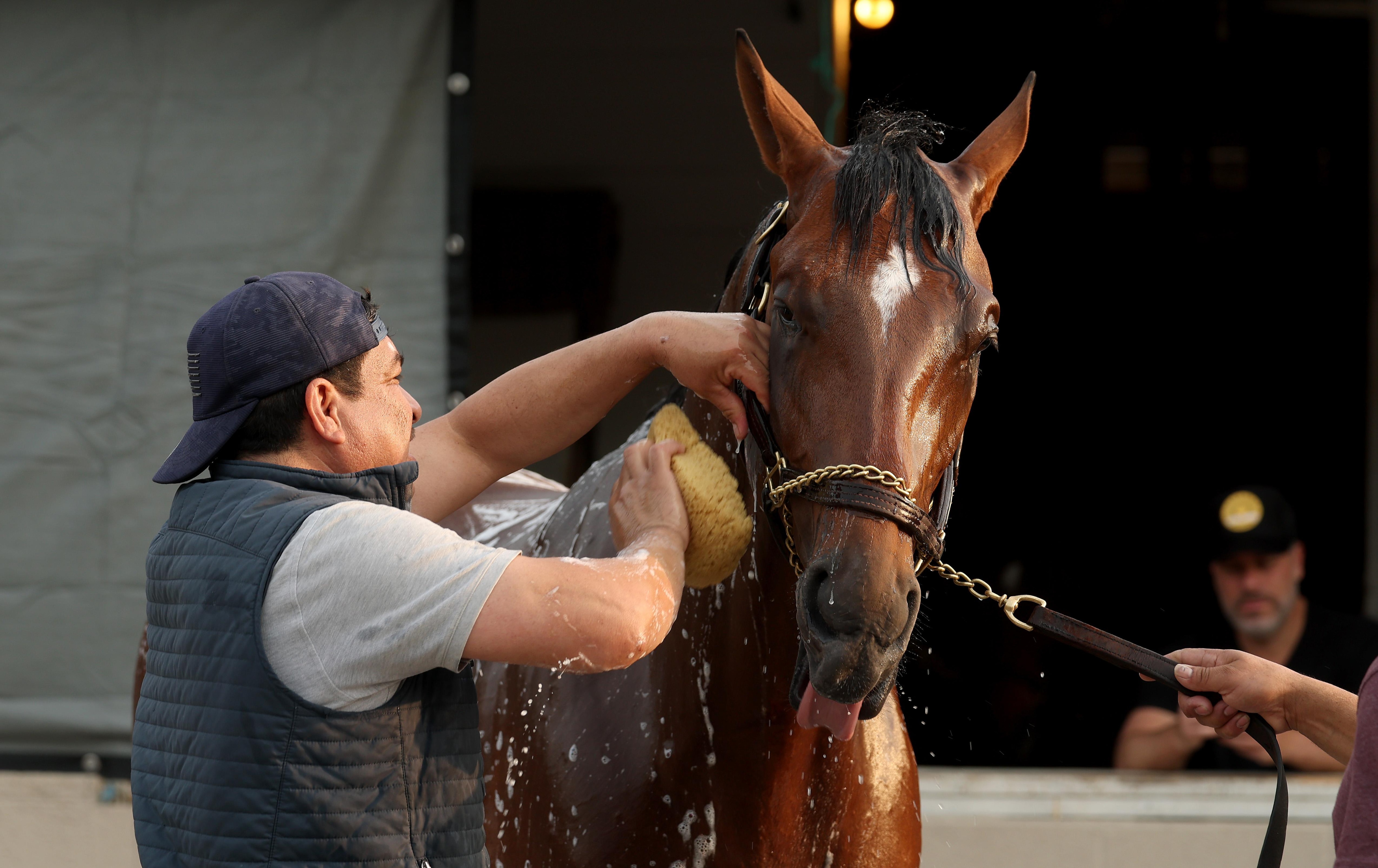 151th Kentucky Derby - Previews
