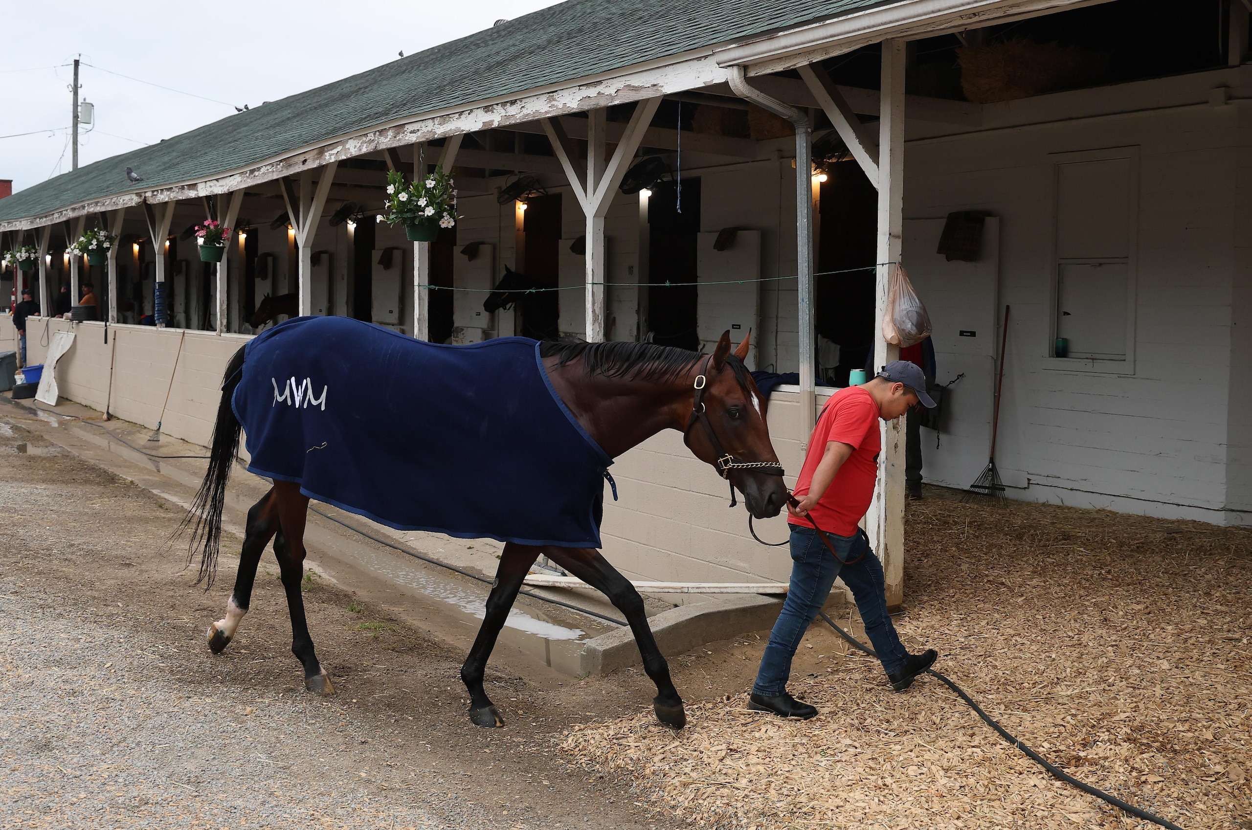 151th Kentucky Derby - Previews 151th Kentucky Derby - Previews
