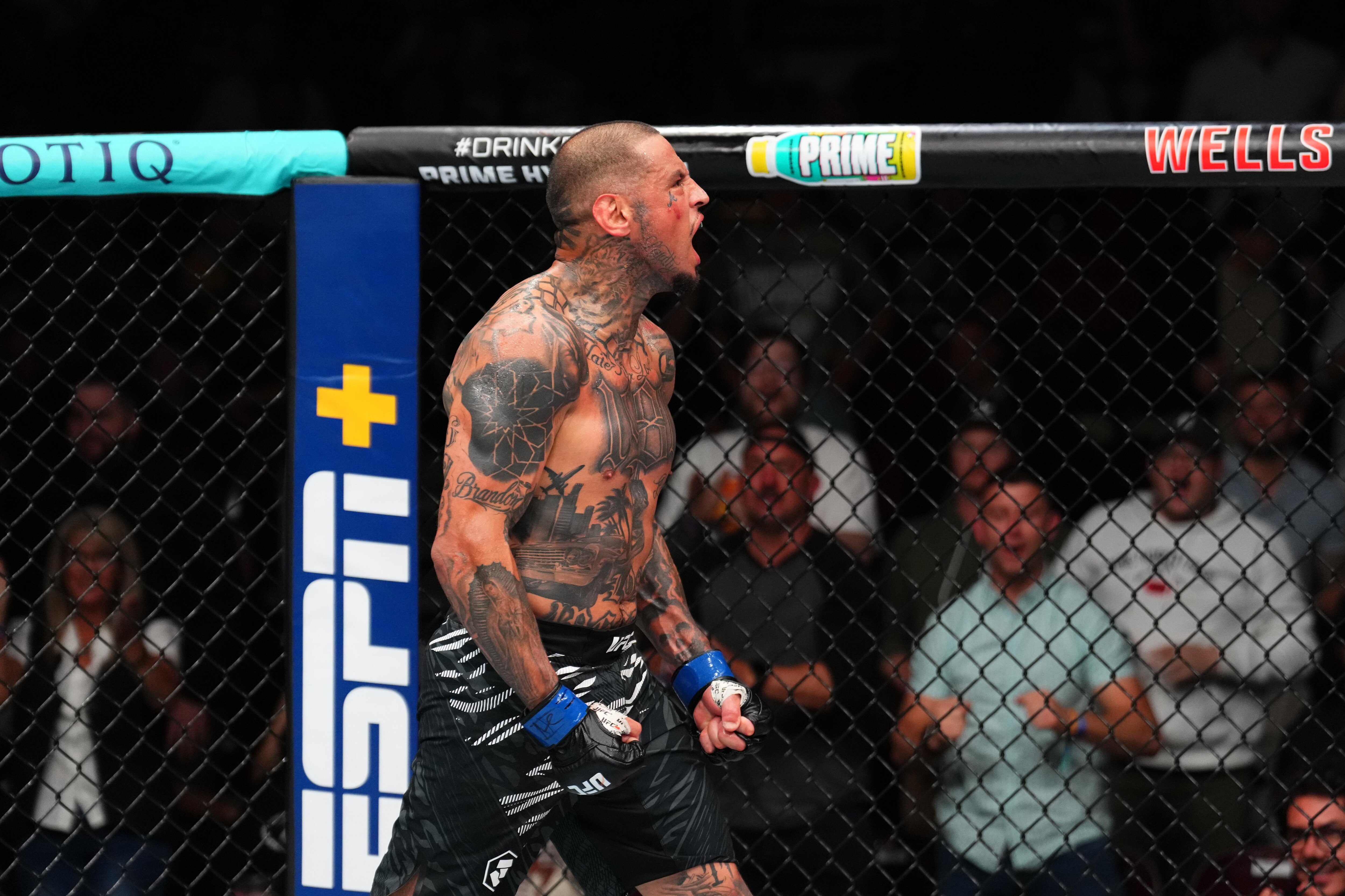 UFC Fight Night: Ponzinibbio v Rodriguez