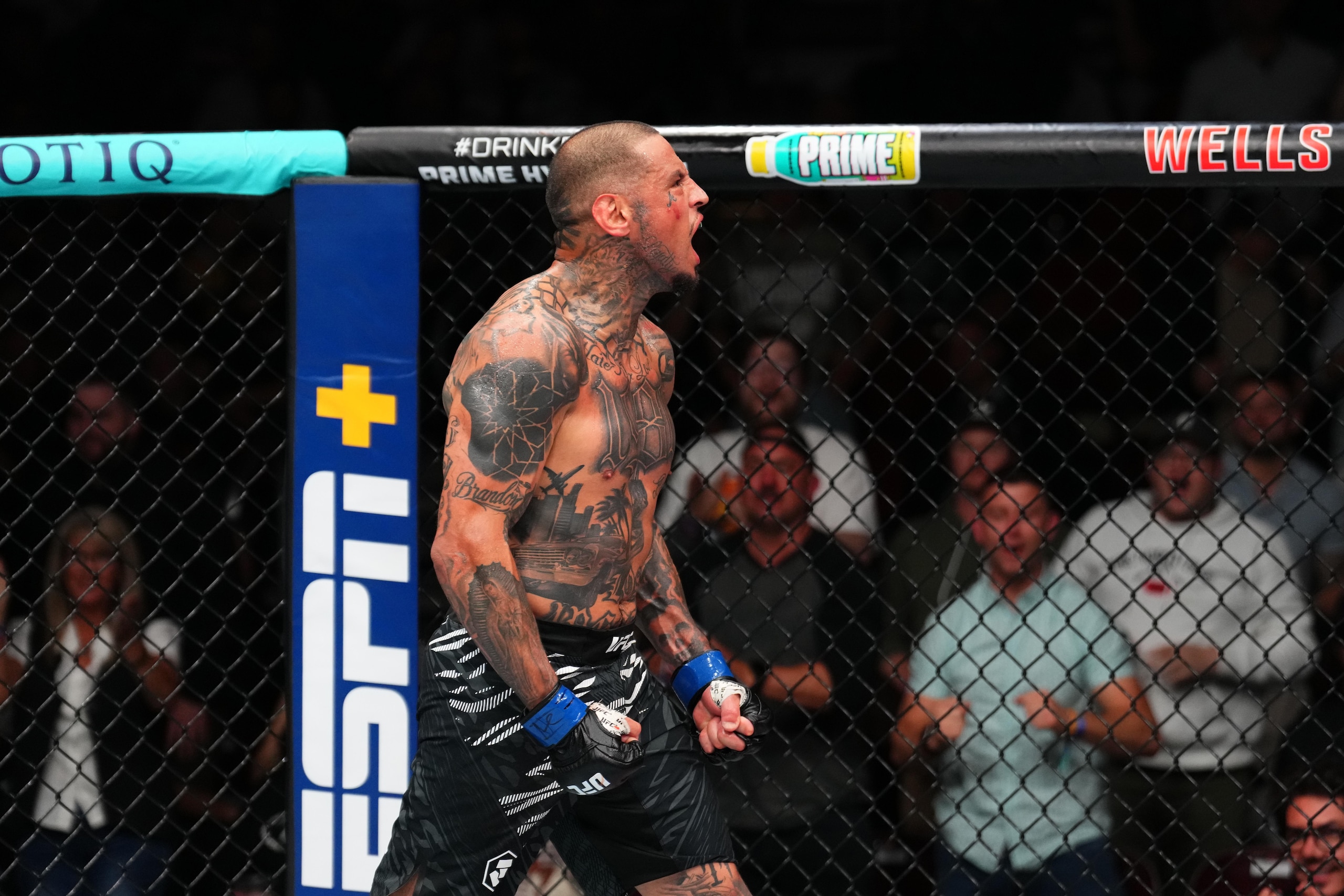 UFC Fight Night: Ponzinibbio v Rodriguez