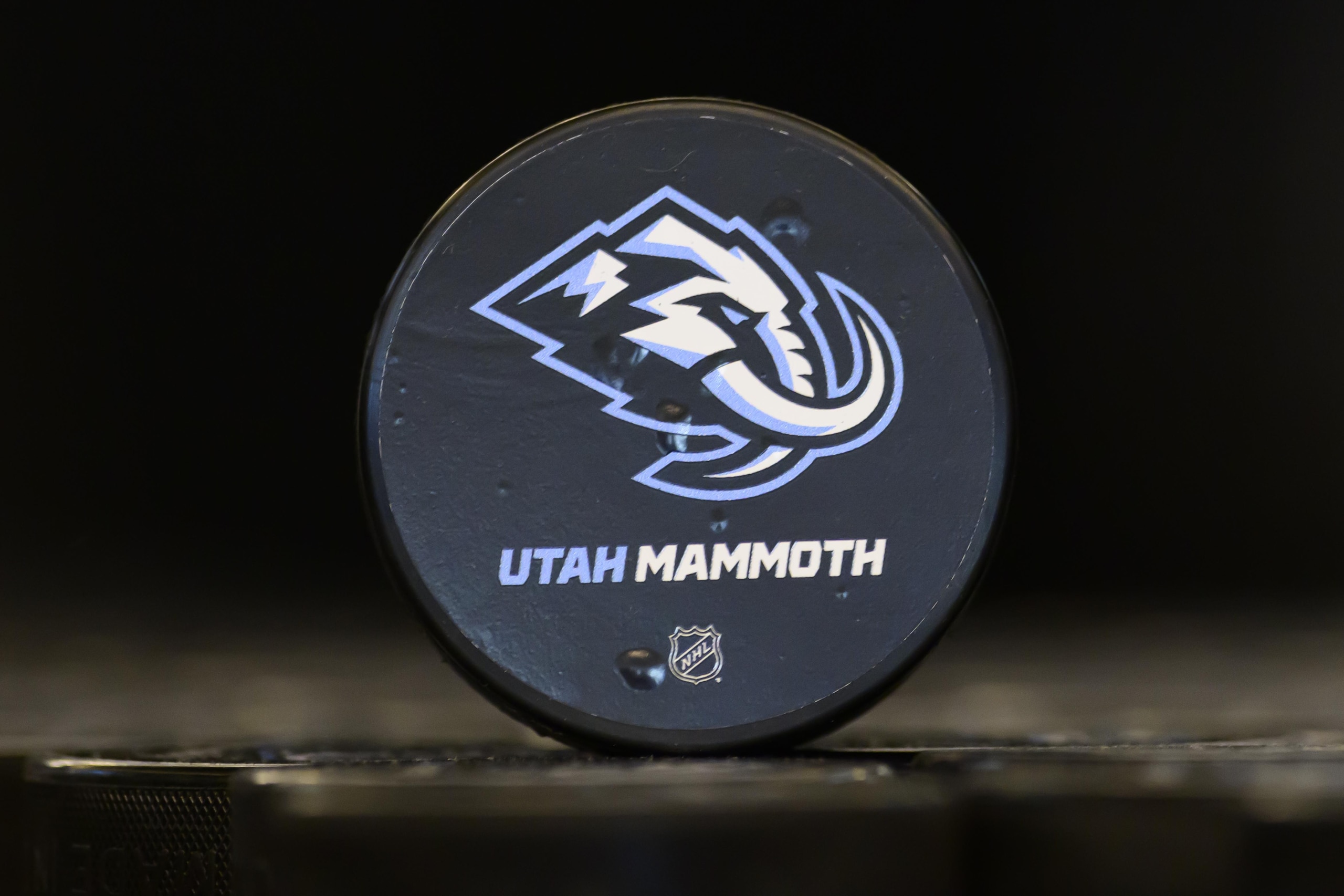 Utah Mammoth Introductory Press Conference