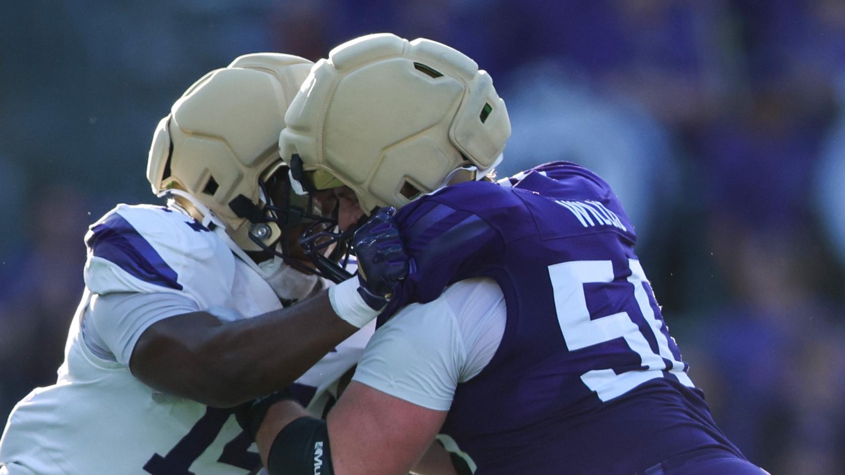 Washington Second Annual Dawgs After Dark Spring Game