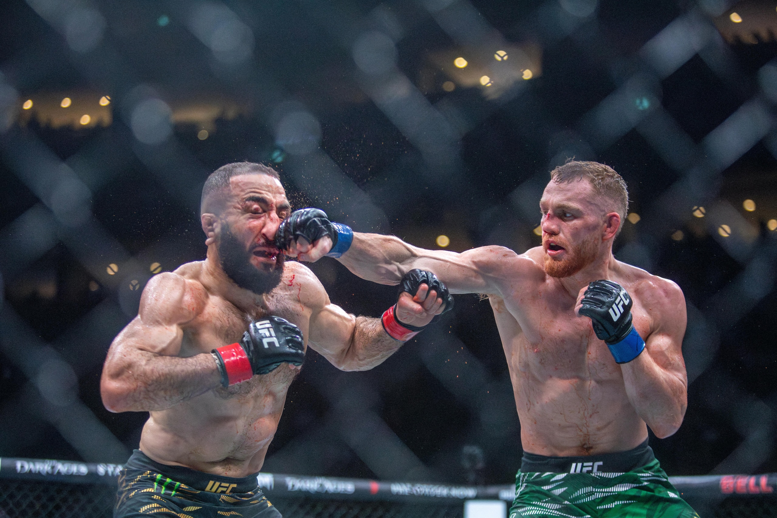 MMA-UFC