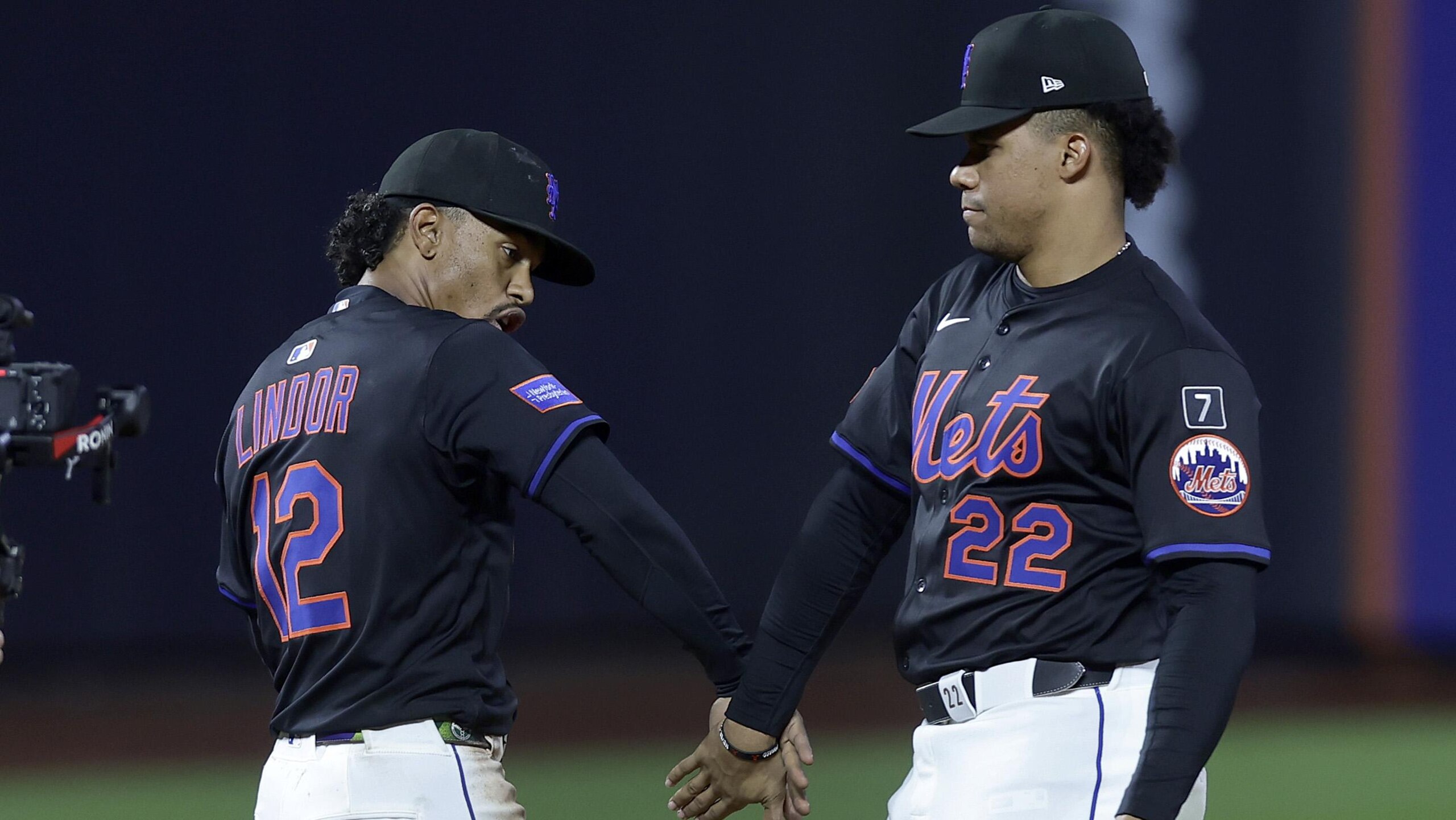 Chicago Cubs v New York Mets