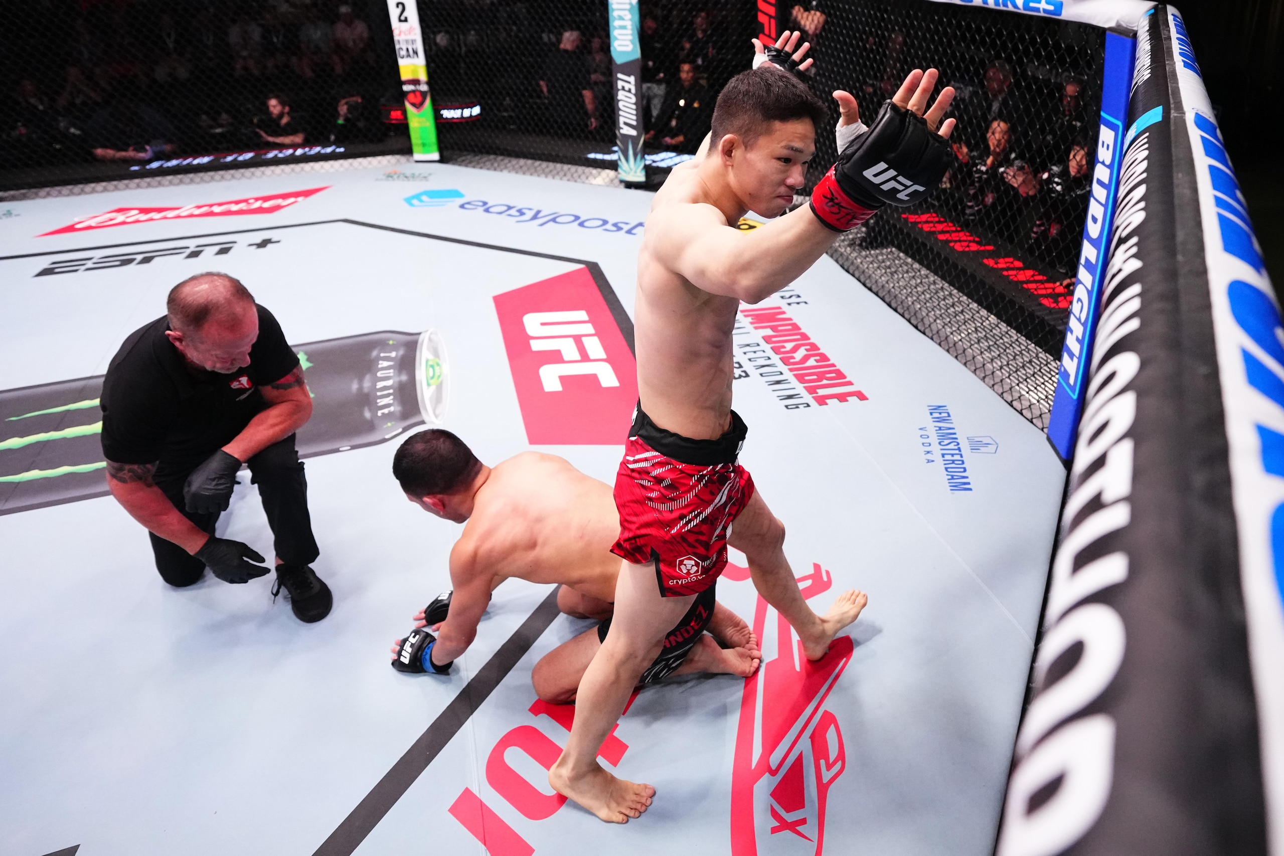 UFC Fight Night: Park v Hernandez