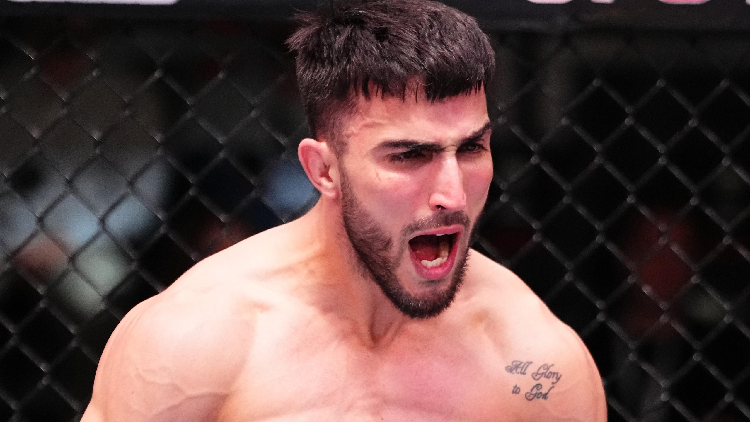 UFC Fight Night: Del Valle v Matthews