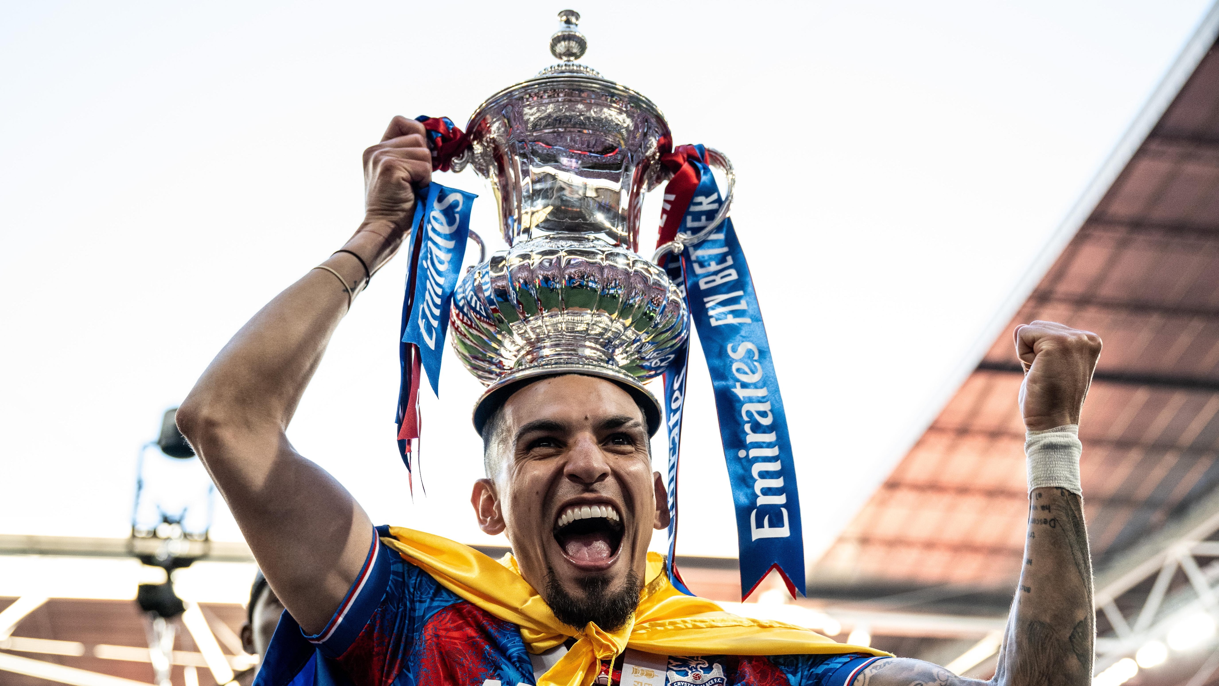 Crystal Palace v Manchester City - Emirates FA Cup Final