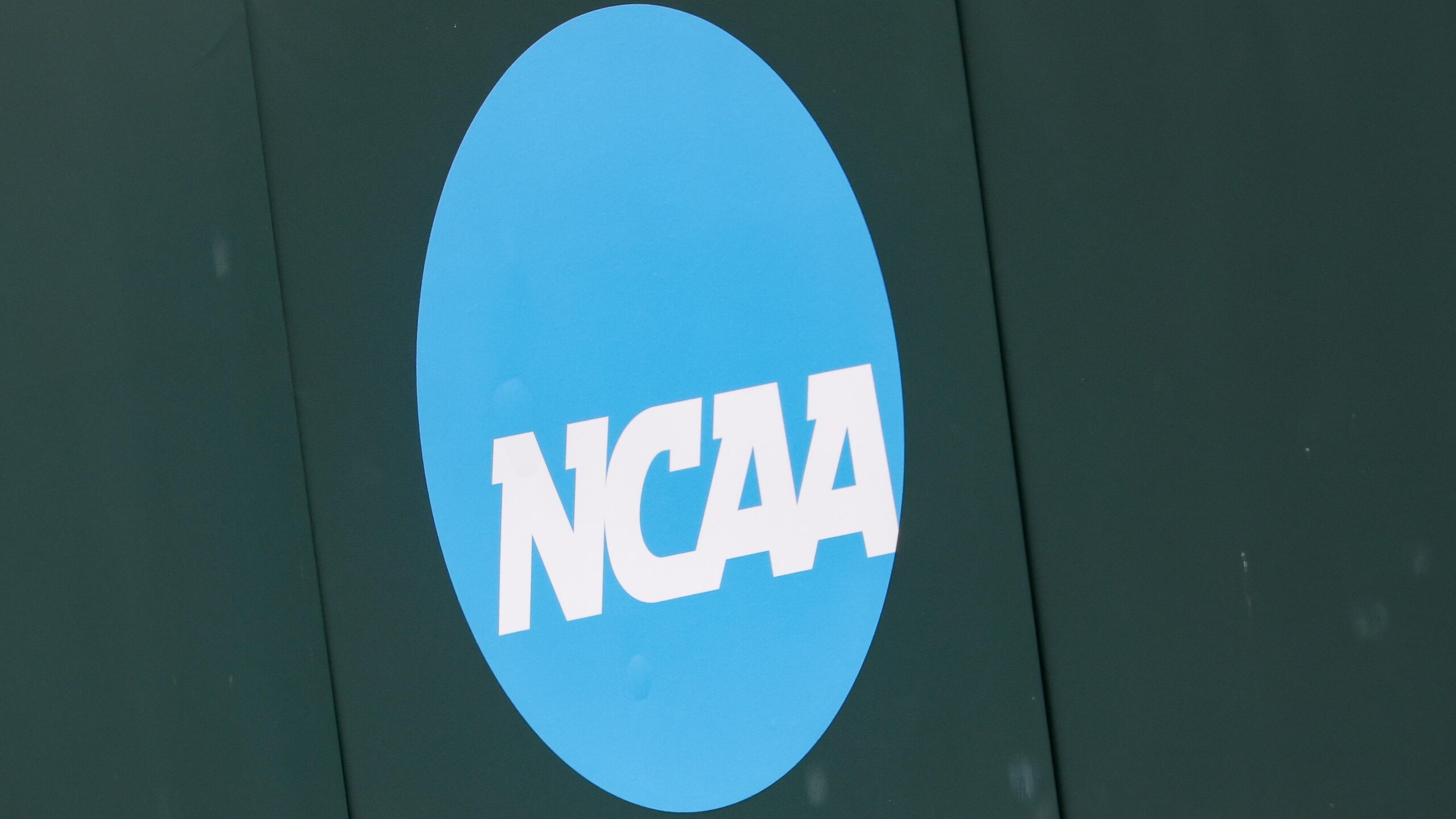 NCAA BASEBALL: MAY 30 Division I Regional - Texas vs Houston Christian