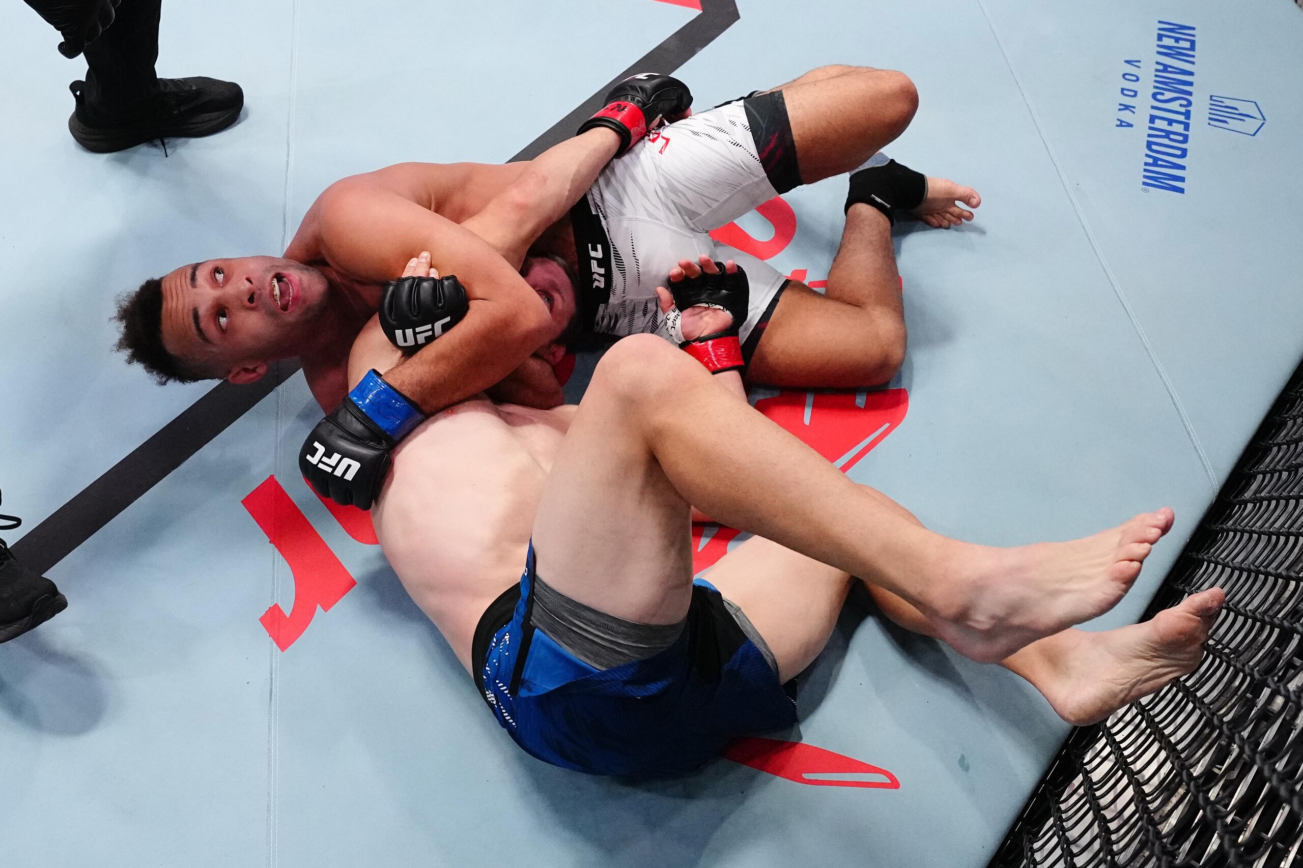 UFC Fight Night: Holobaugh v Leavitt