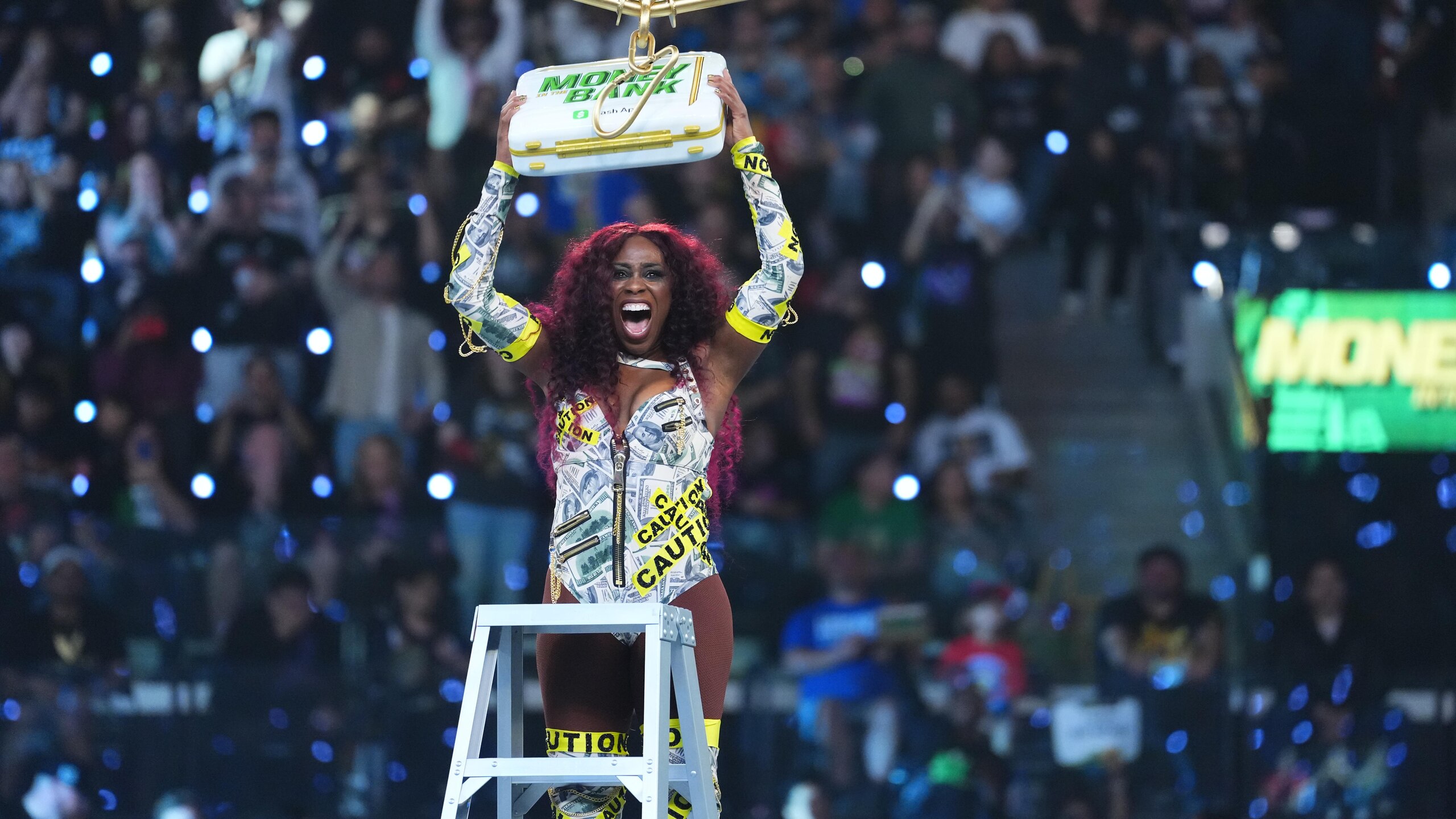 WWE Money In The Bank
