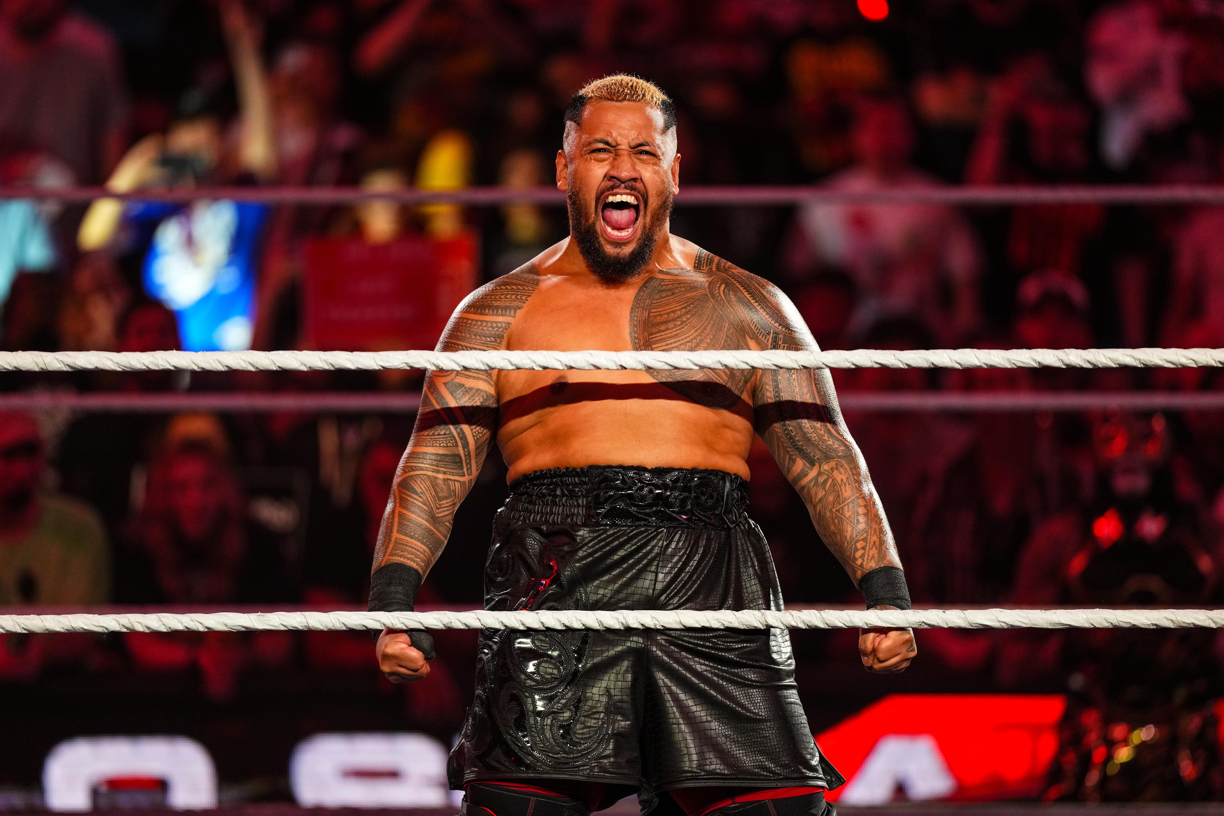 WWE Money In The Bank