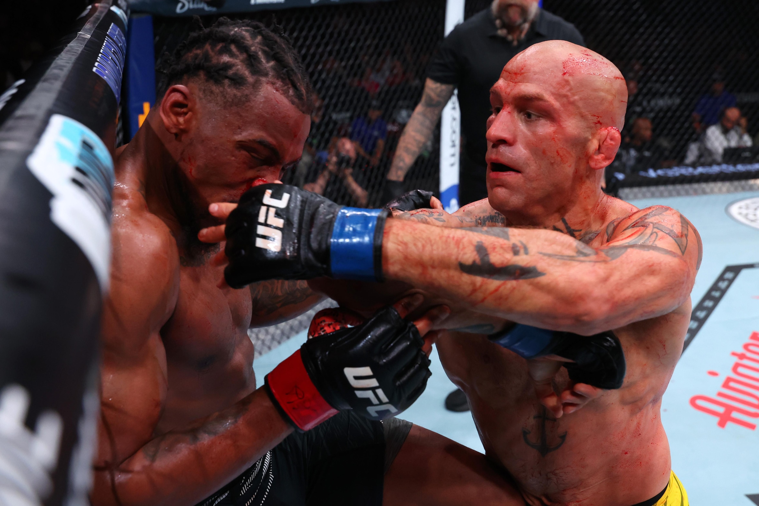 UFC 316: Williams v Gustafsson