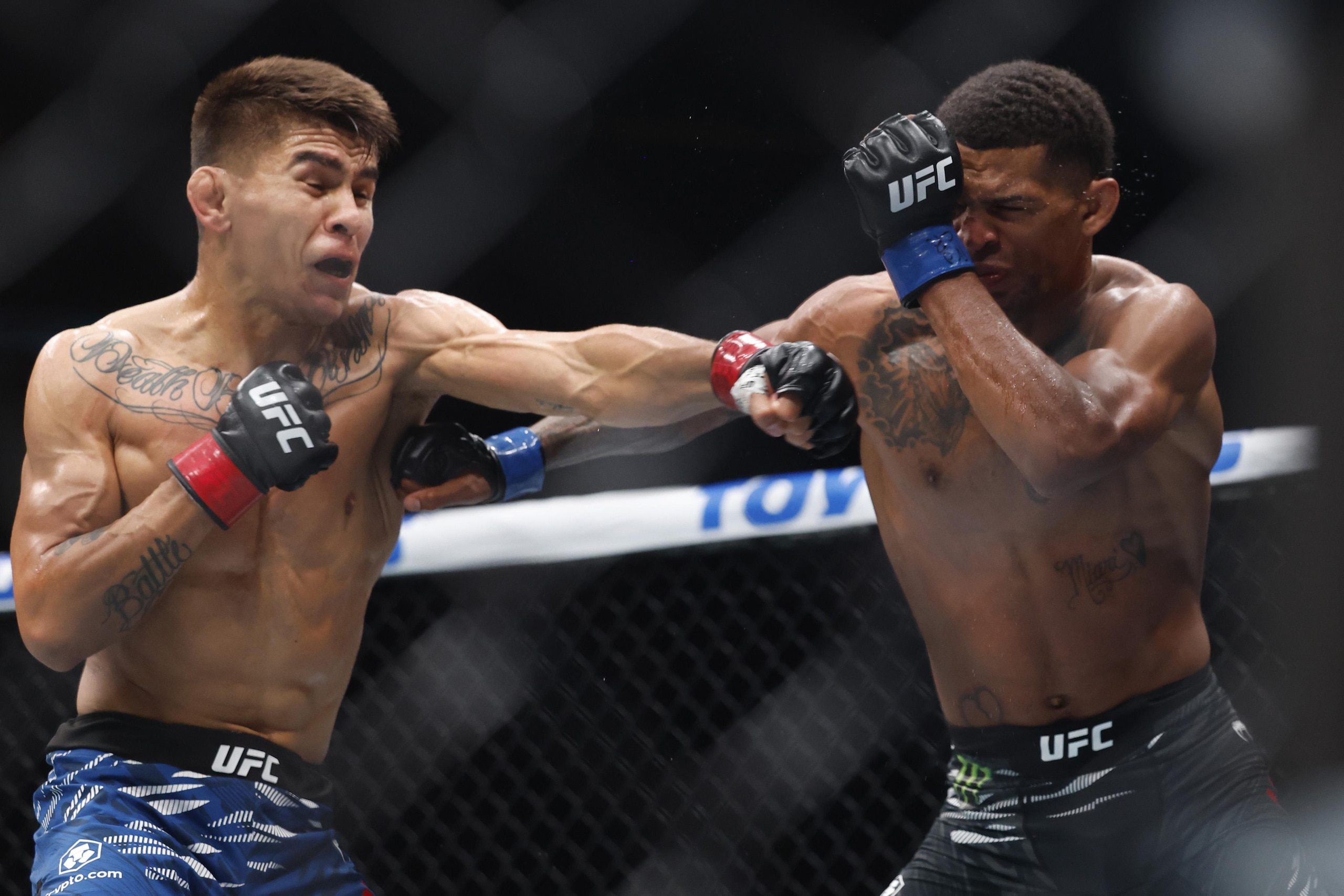 UFC 316: Bautista v Mix