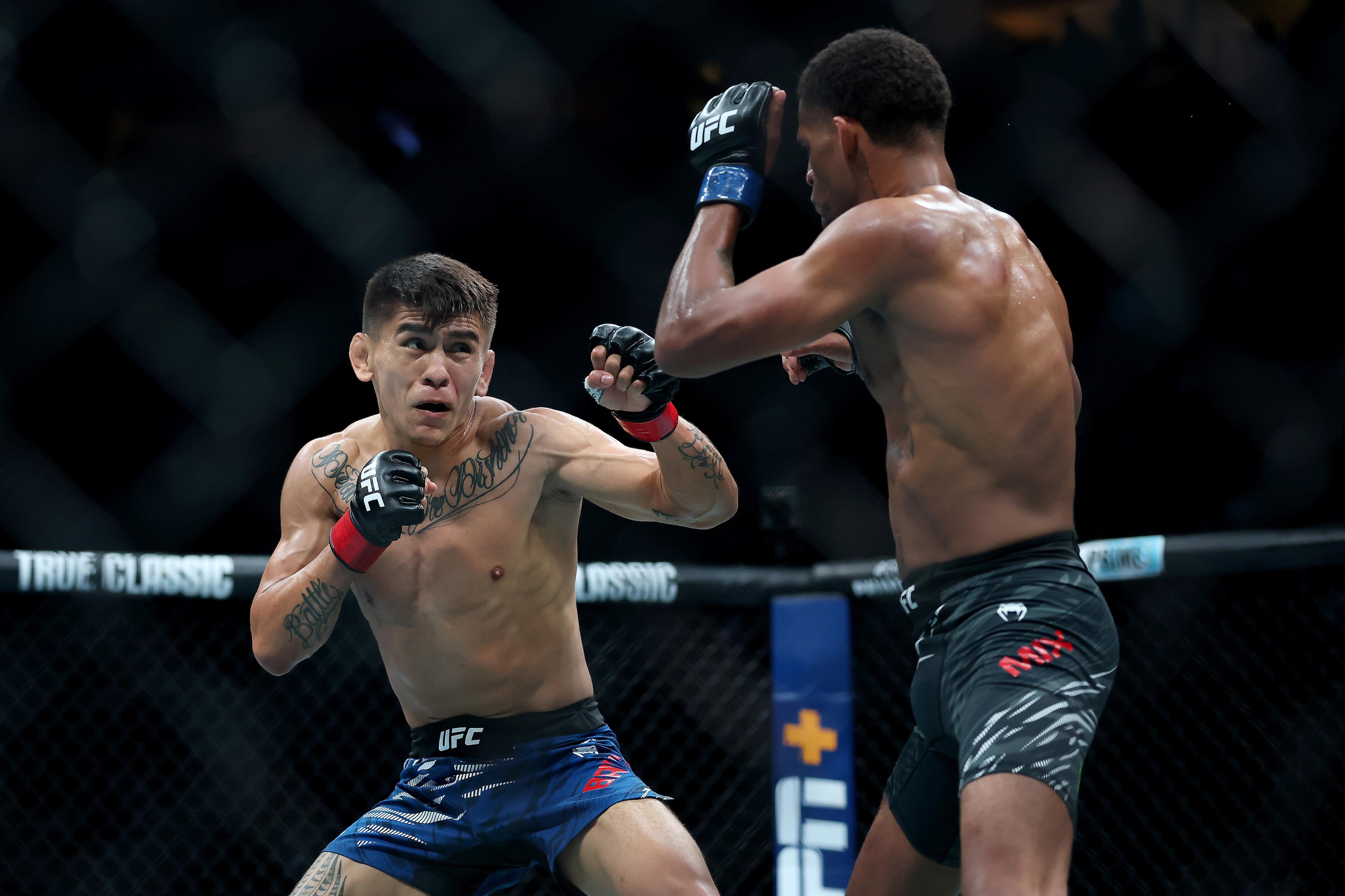 UFC 316: Dvalishvili vs. O'Malley 2