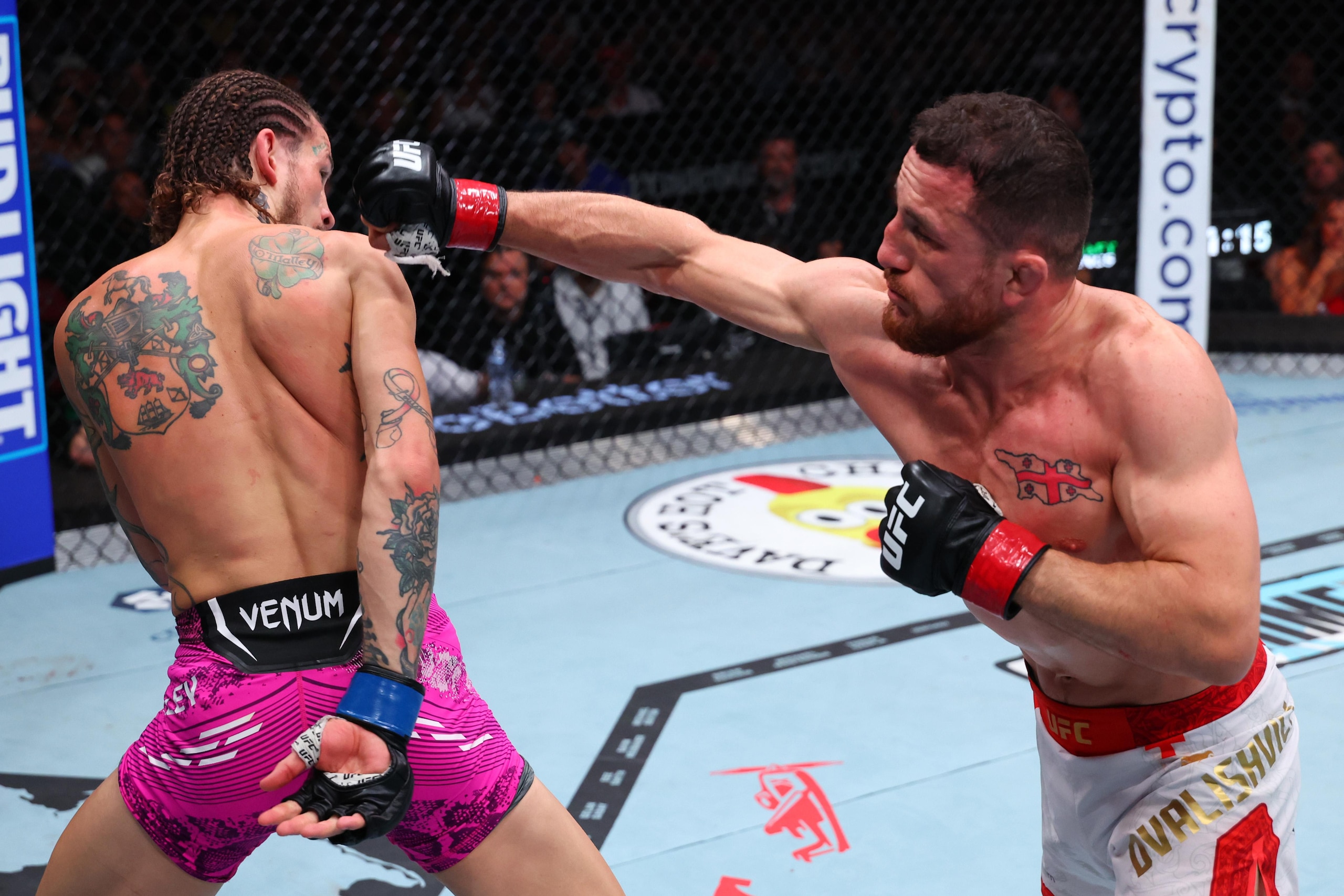 UFC 316: Dvalishvili vs. O'Malley 2