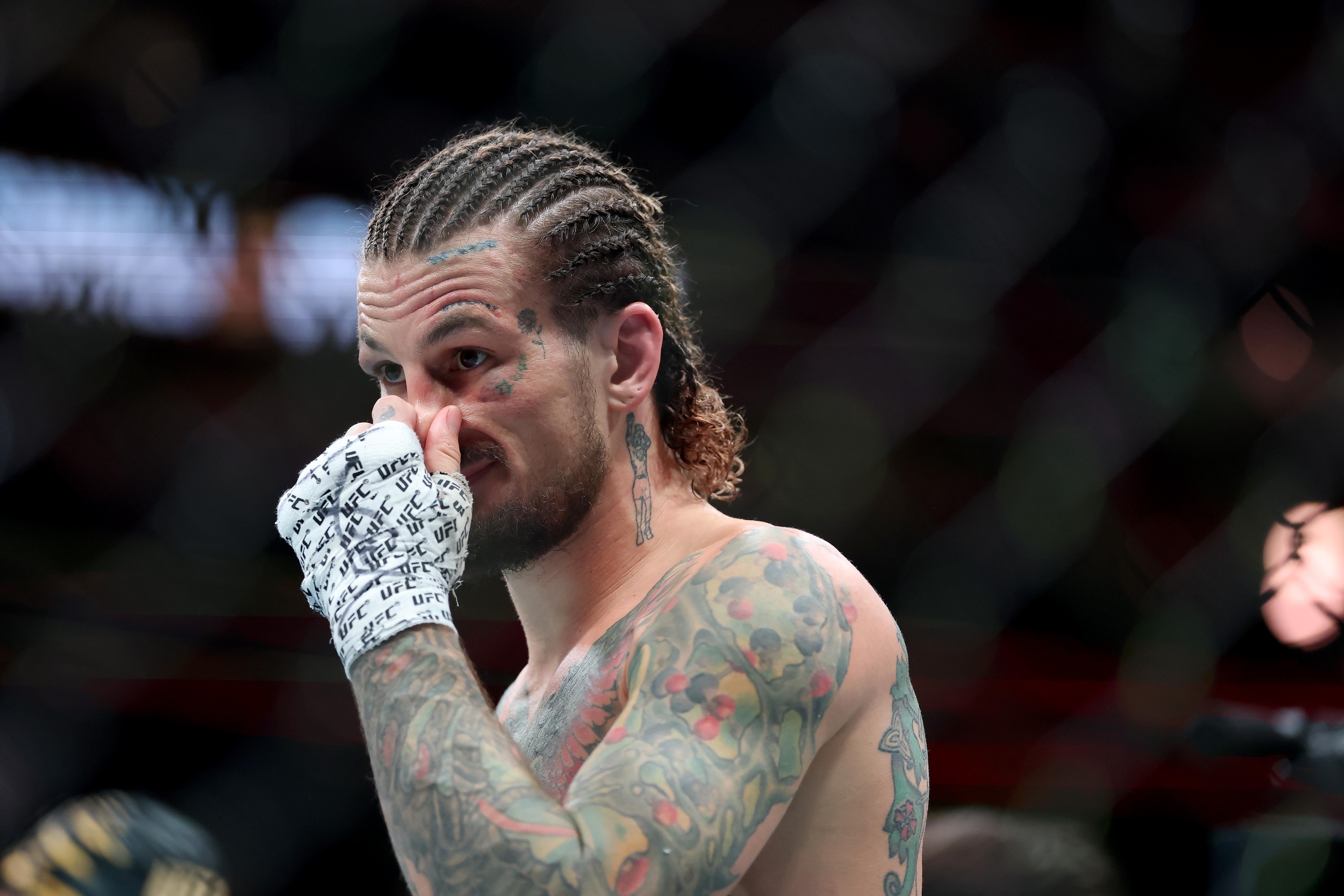 UFC 316: Dvalishvili vs. O'Malley 2