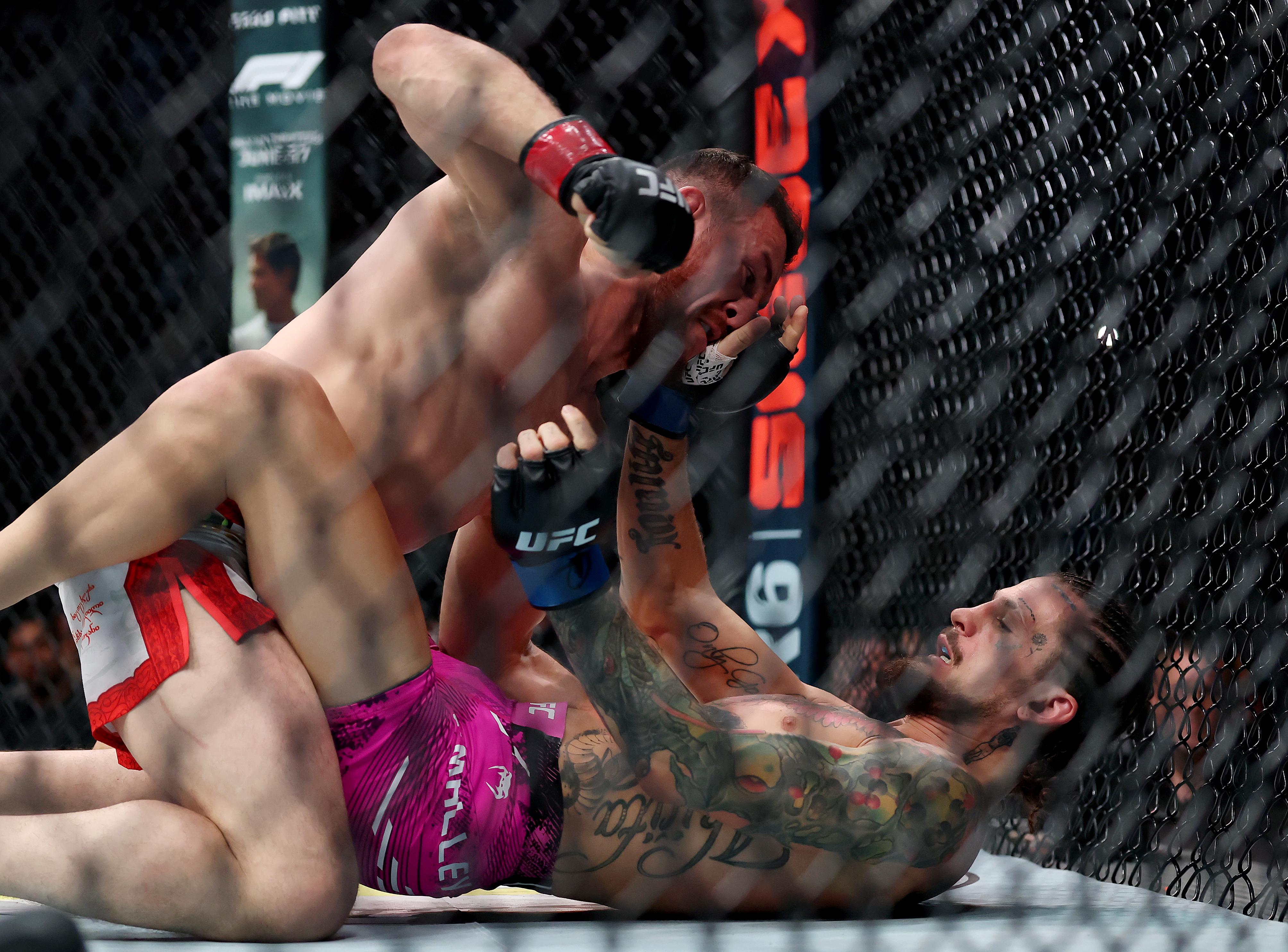 UFC 316: Dvalishvili vs. O'Malley 2