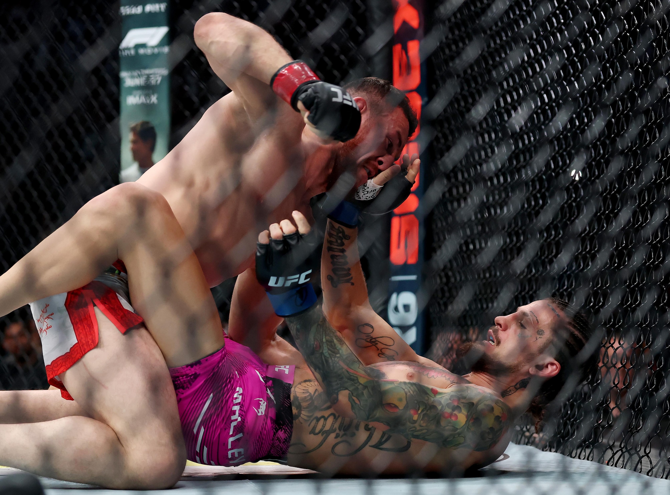 UFC 316: Dvalishvili vs. O'Malley 2