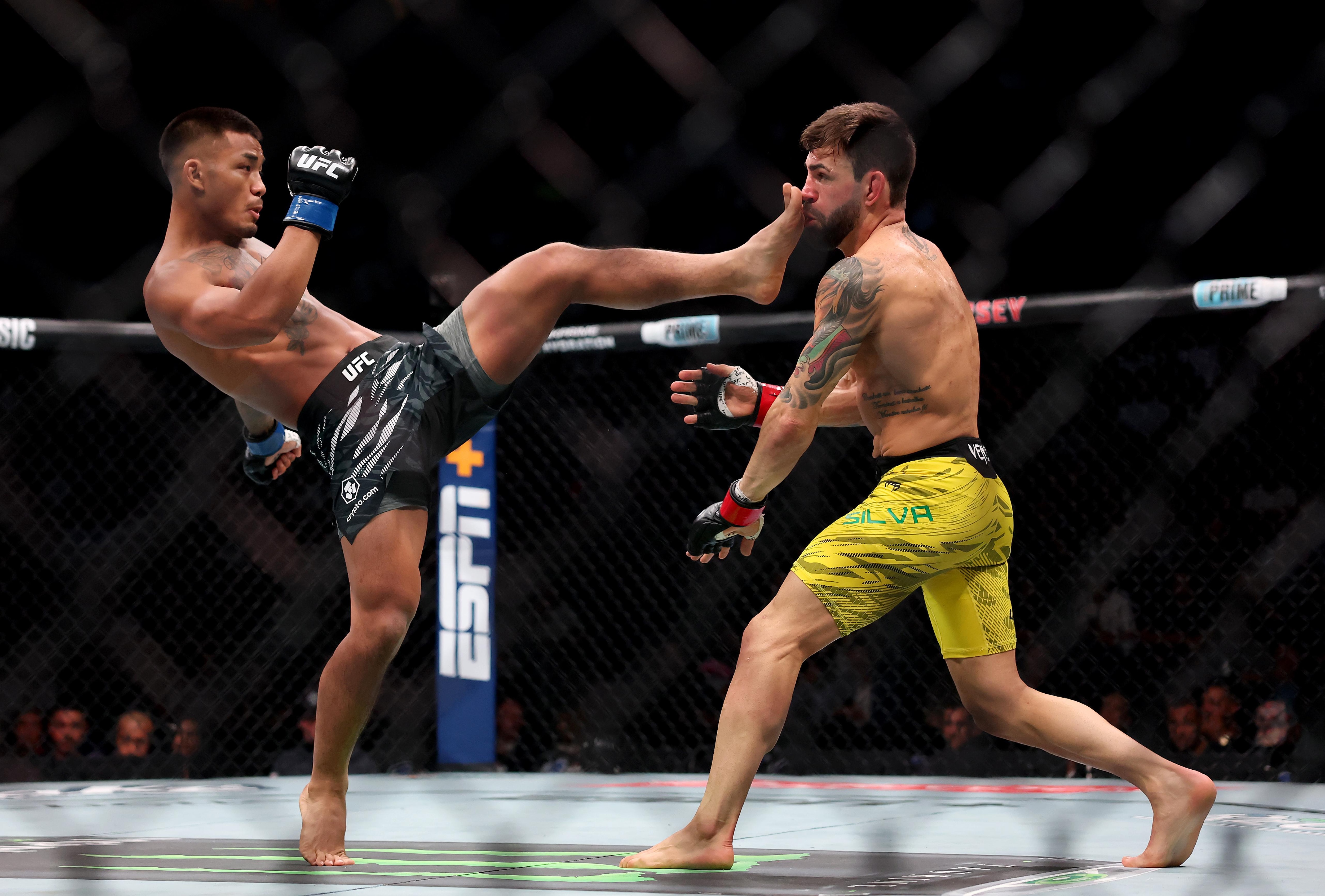 UFC 316: Dvalishvili vs. O'Malley 2