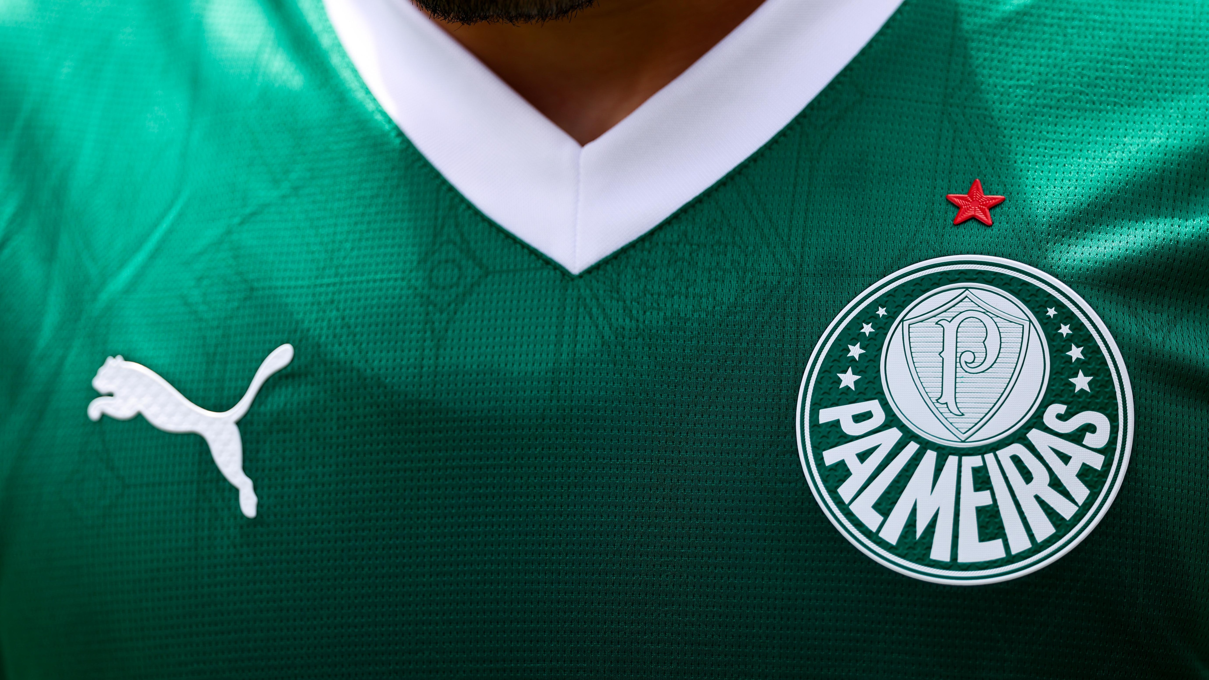 SE Palmeiras  v Botafogo FR: Round Of 16 - FIFA Club World Cup 2025