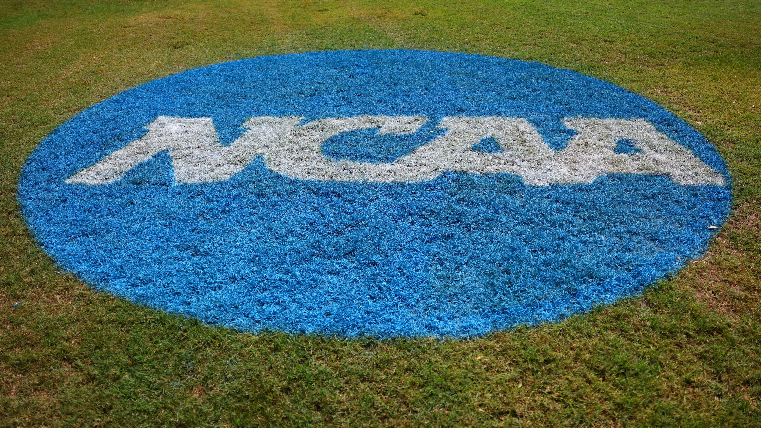 NCAA Division II Men's Golf Championships