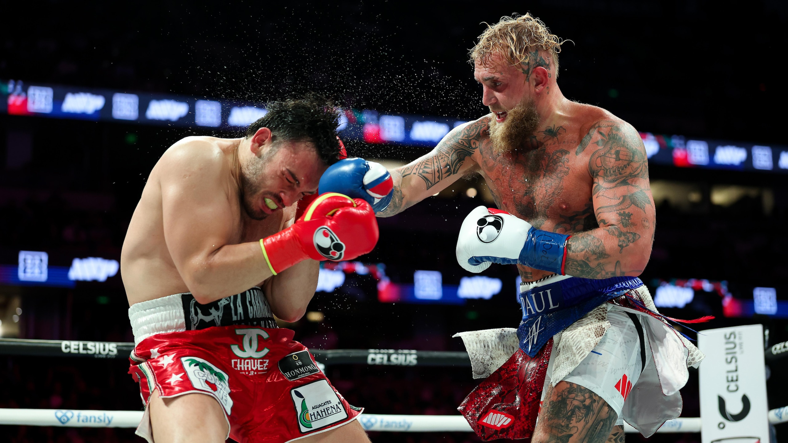 Jake Paul v Julio Cesar Chavez Jr. Jake Paul v Julio Cesar Chavez Jr.