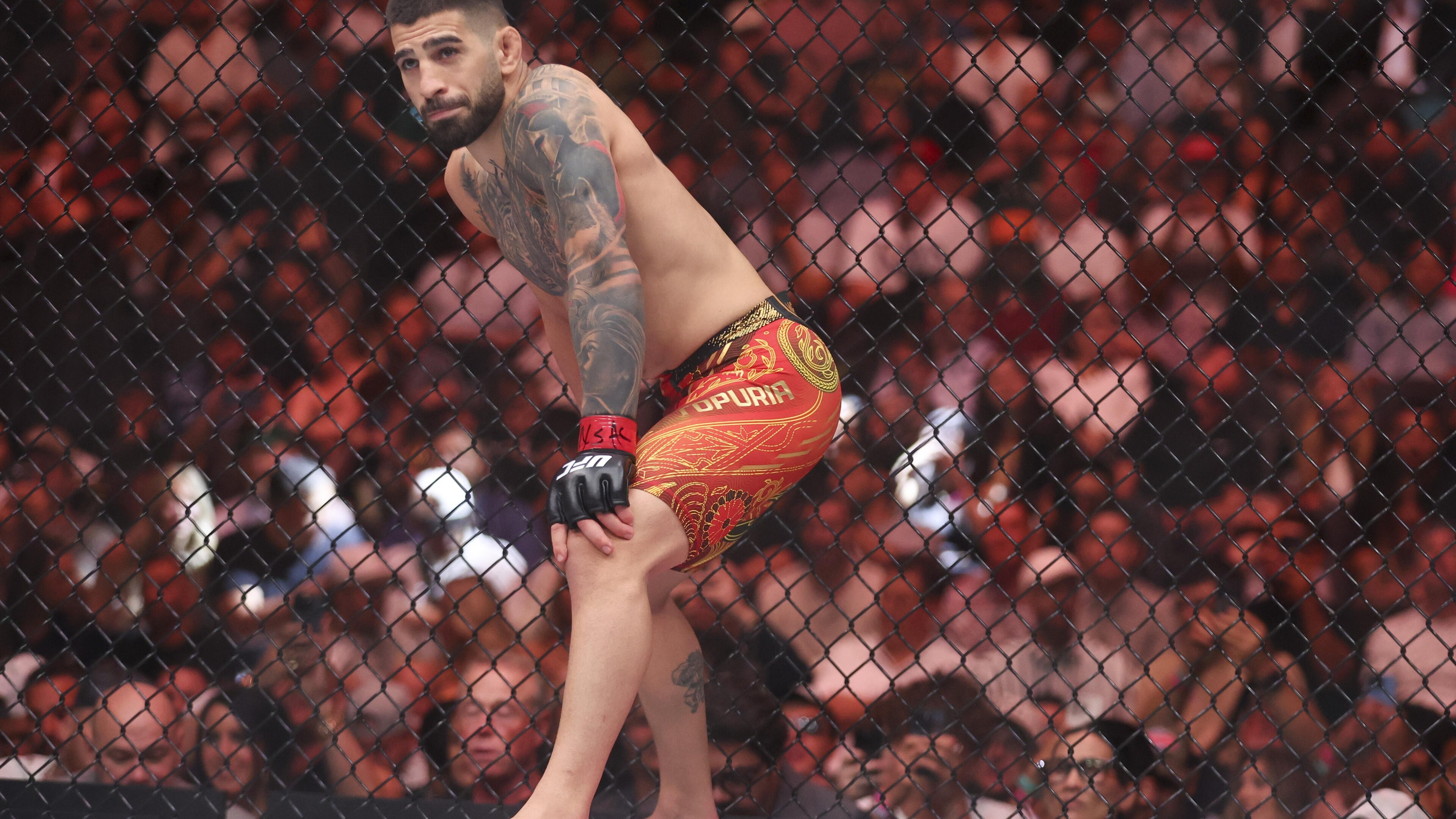 UFC 317: Topuria vs Oliveira