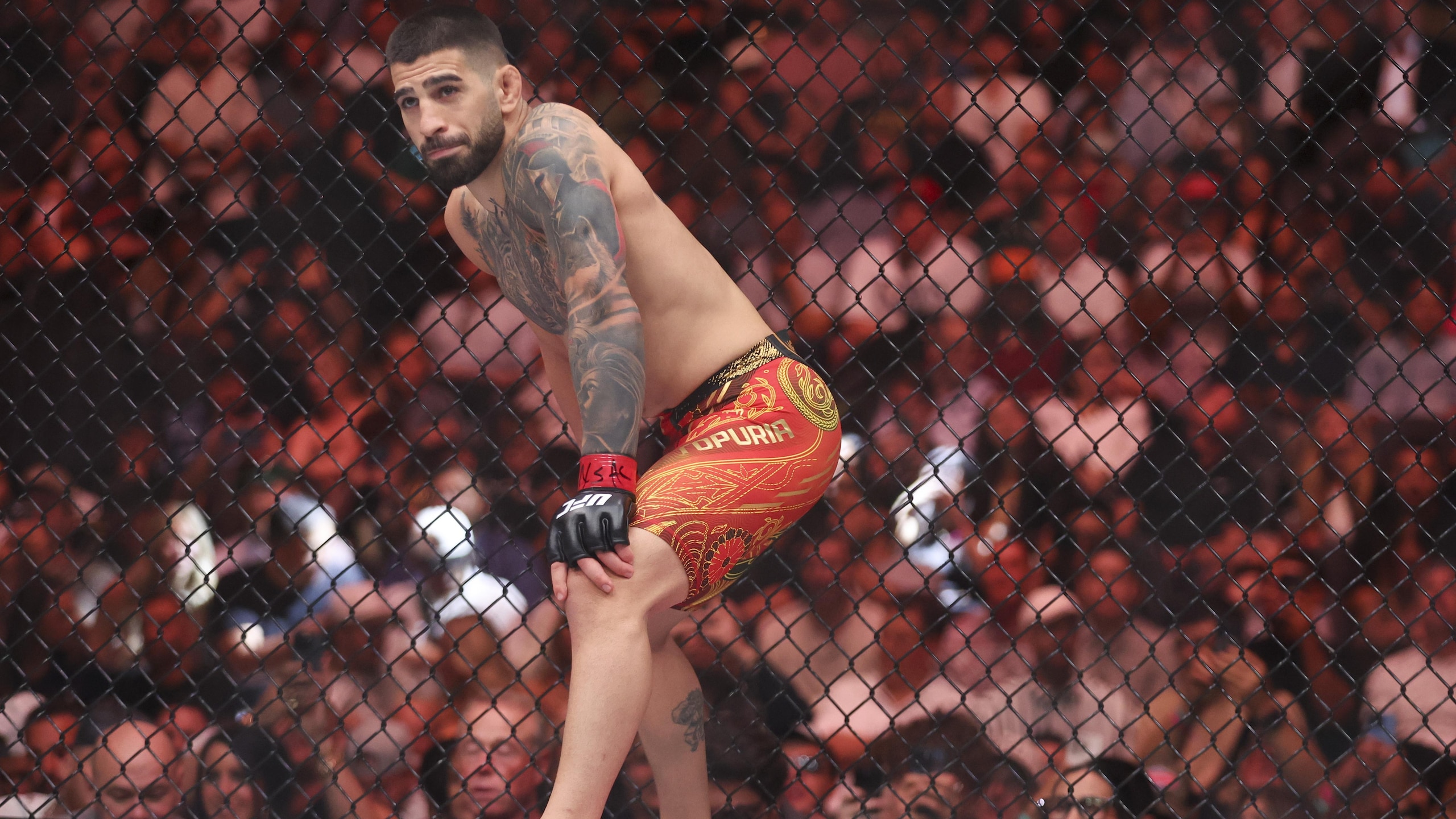 UFC 317: Topuria vs Oliveira UFC 317: Topuria vs Oliveira