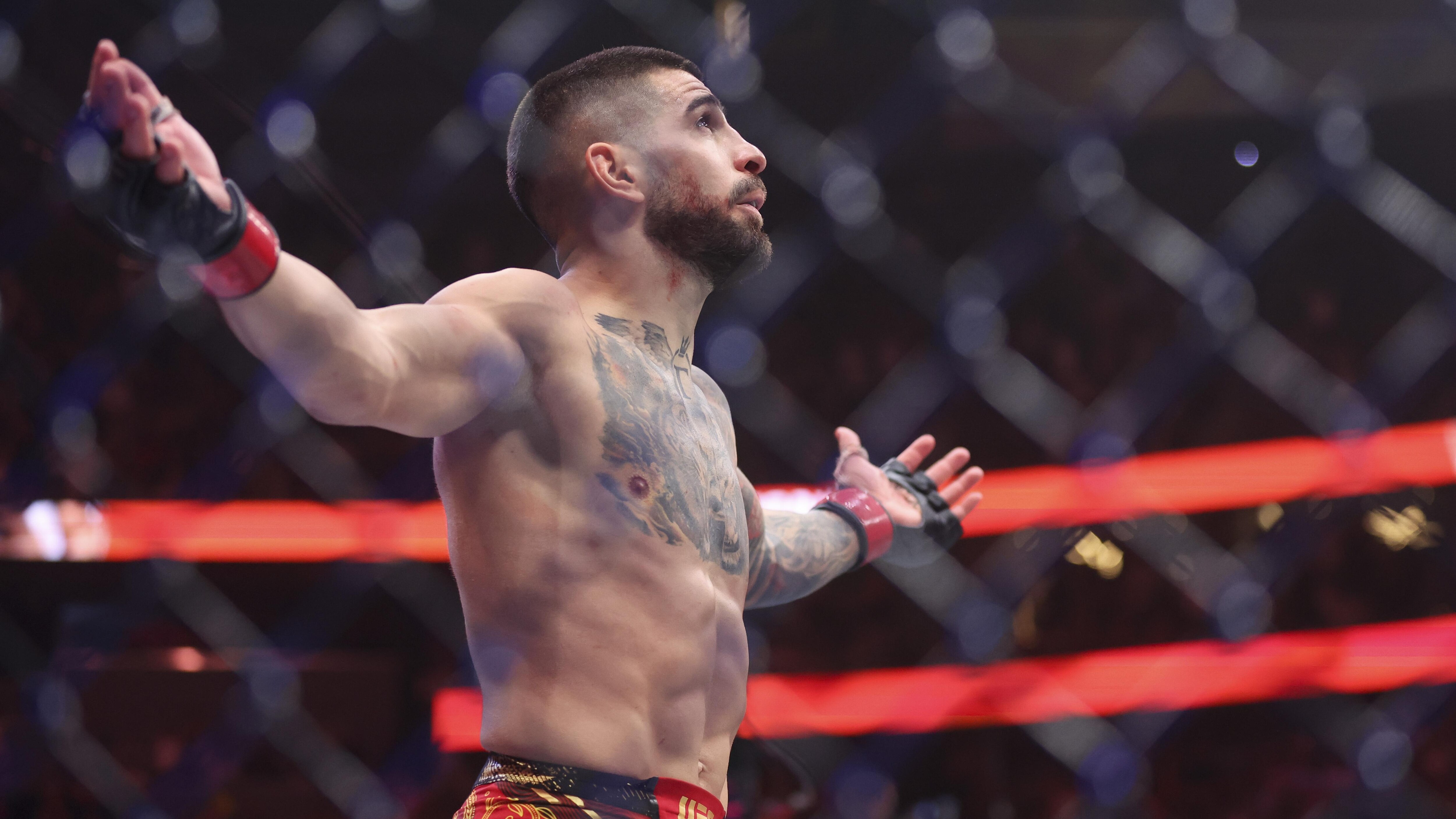 UFC 317: Topuria vs Oliveira