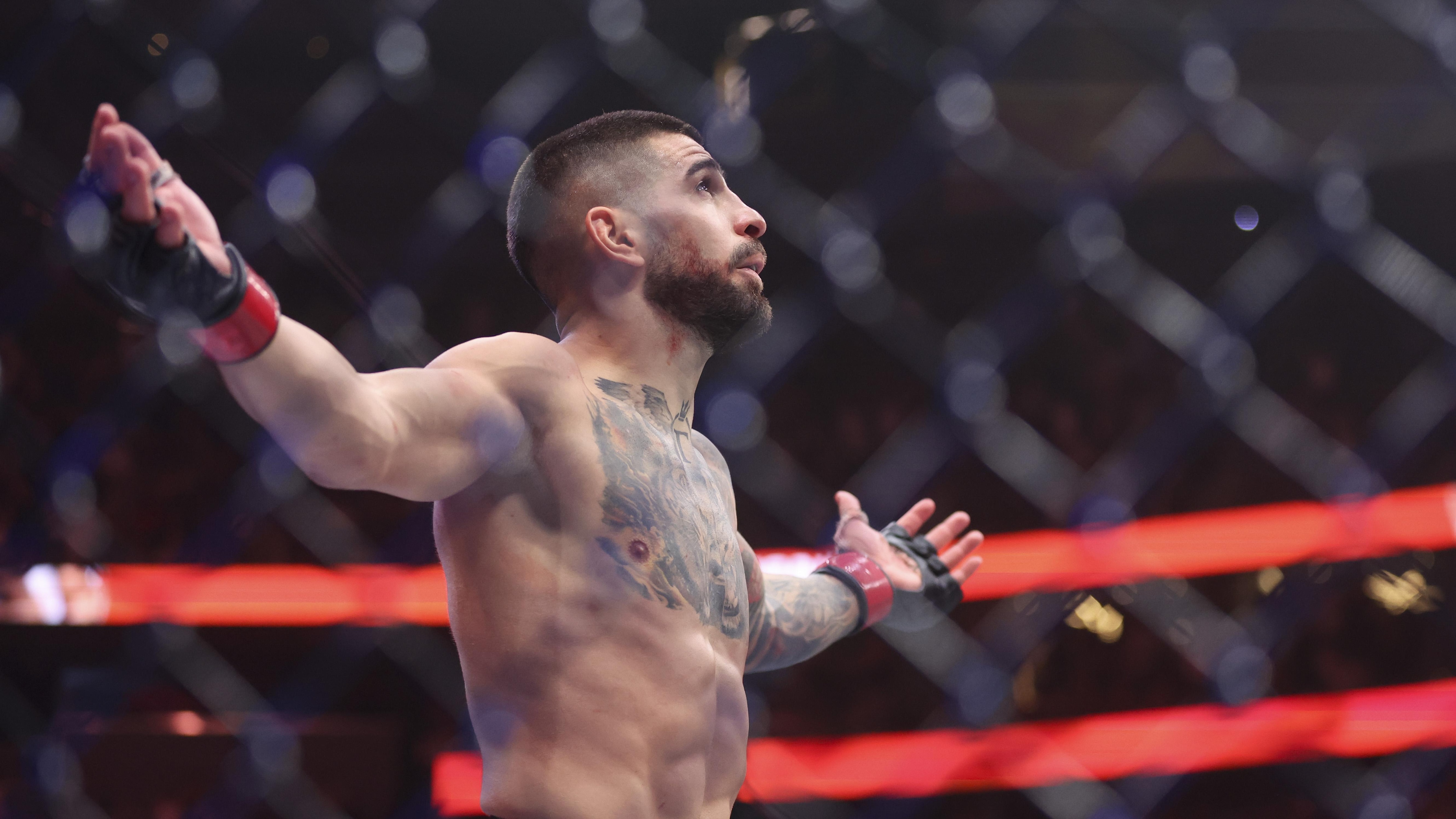 UFC 317: Topuria vs Oliveira