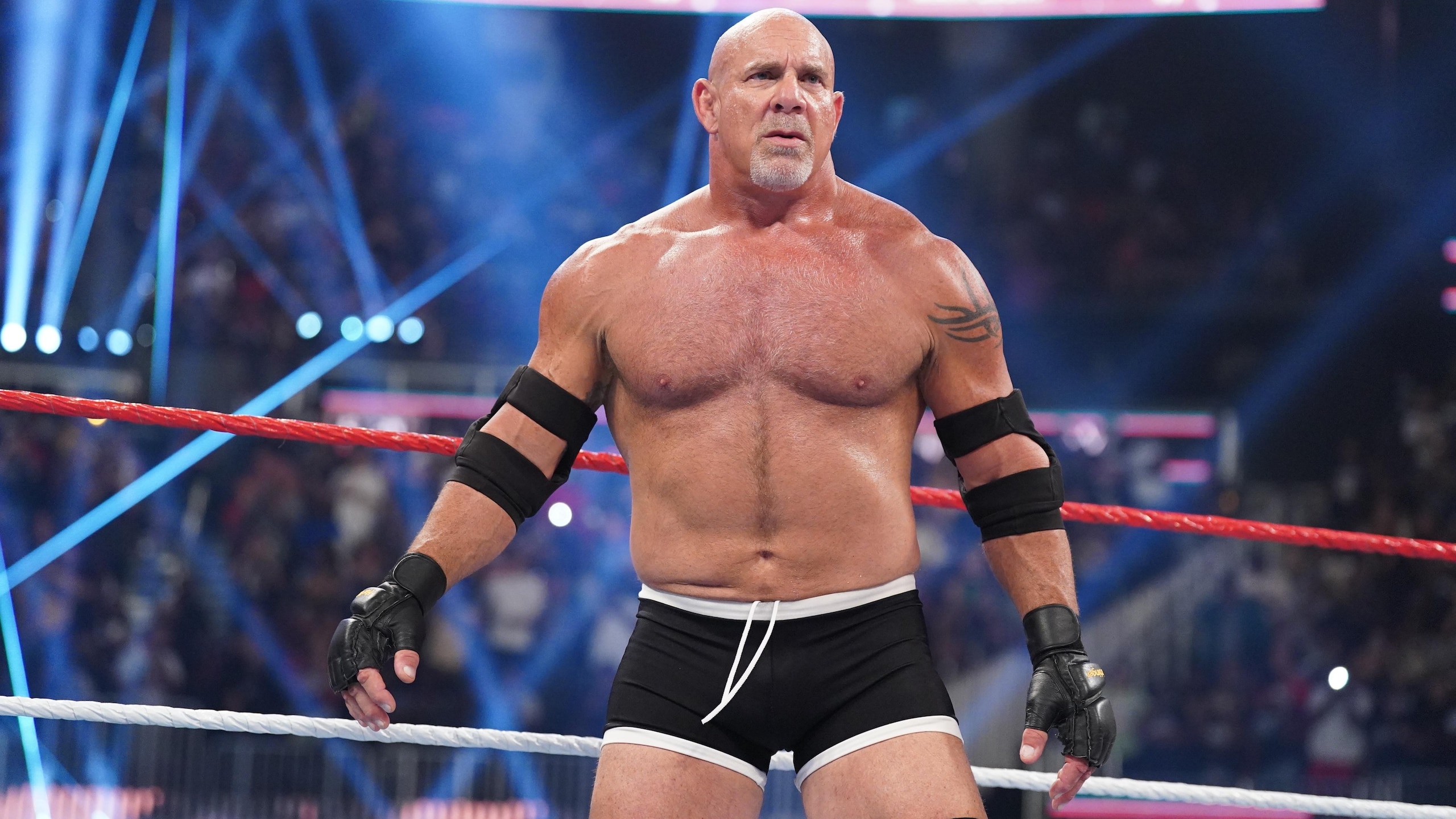 WWE - Saturday Night's Main Event